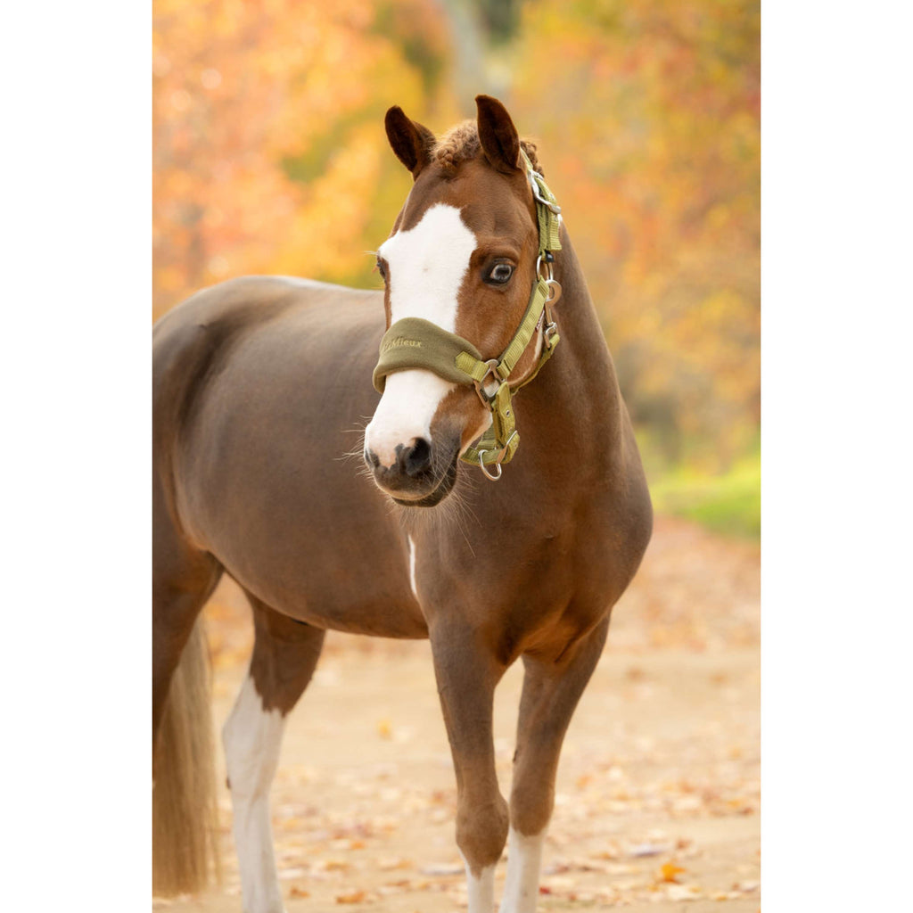 LeMieux Halter Set Vogue Gooseberry