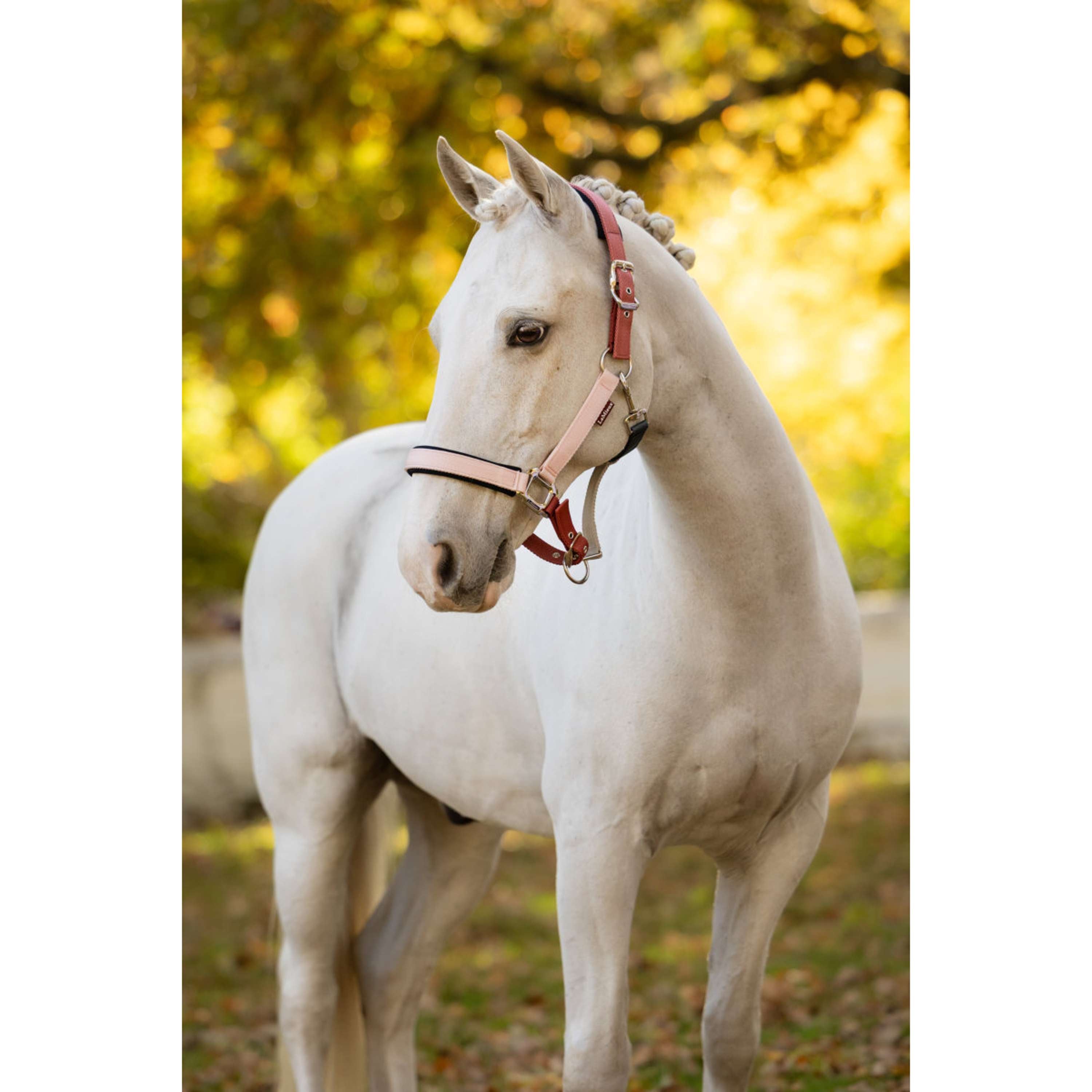 LeMieux Halter Medley Spiced Earth/Petal/Aloe