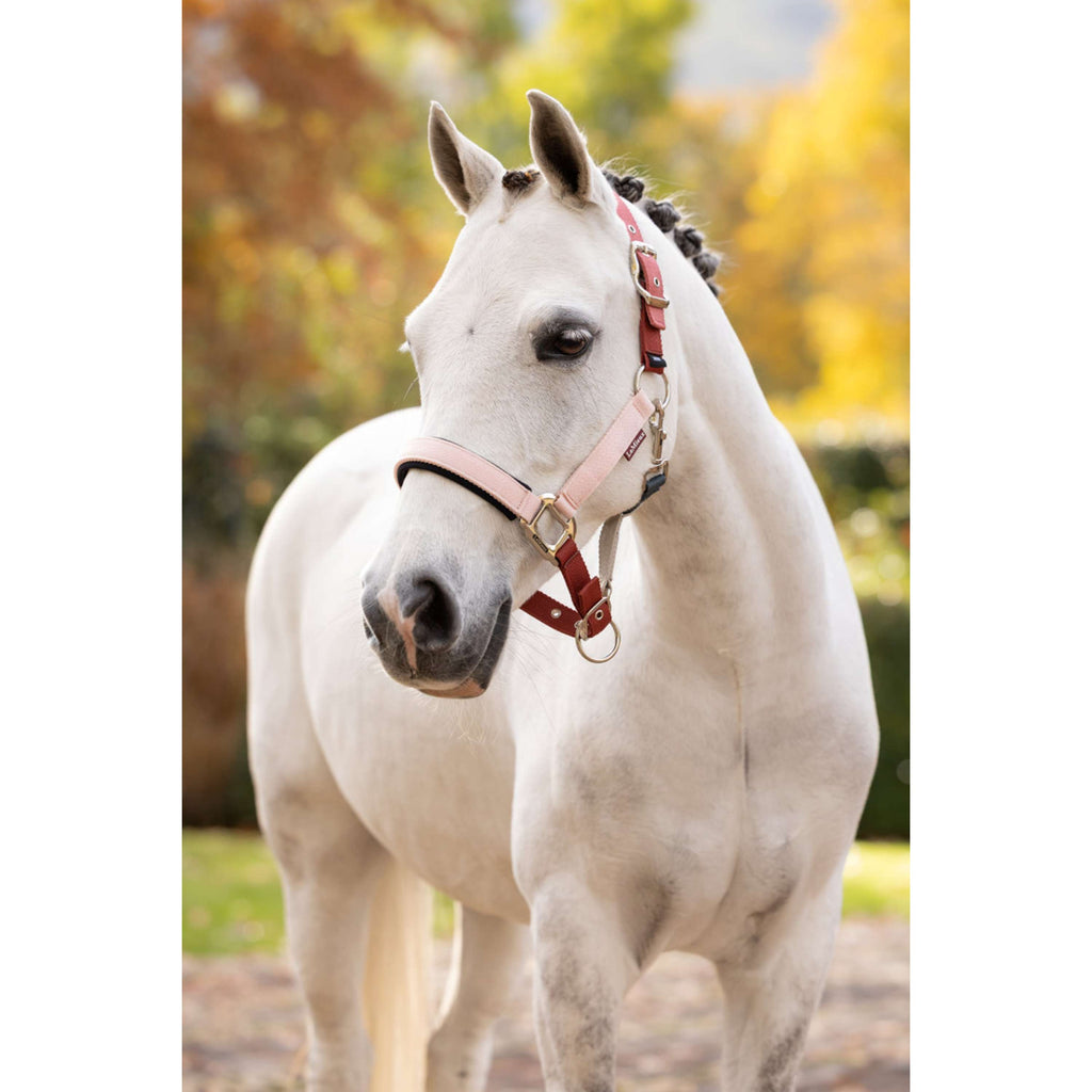 LeMieux Halter Medley Spiced Earth/Petal/Aloe
