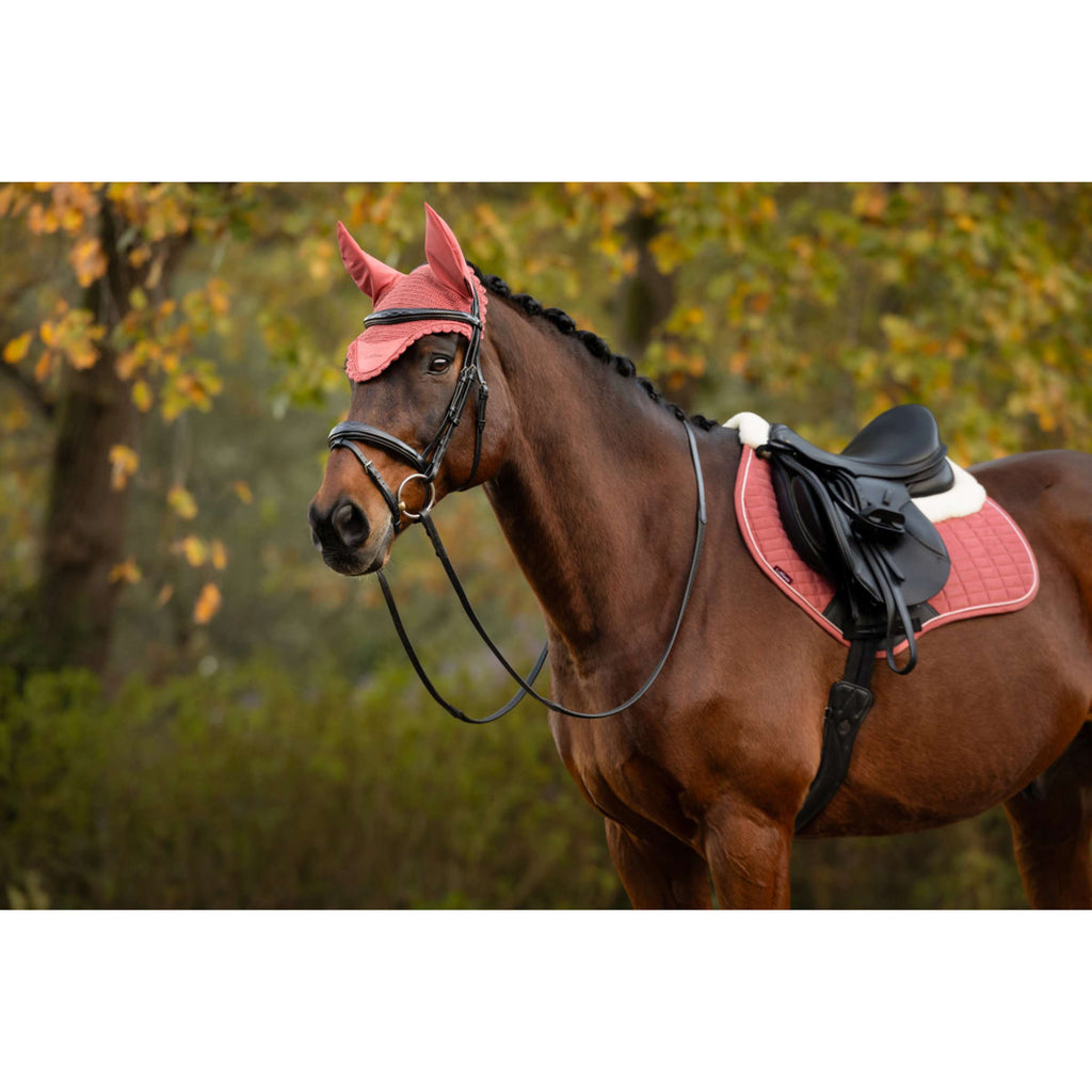 LeMieux Ear Bonnet Classique Spiced Earth