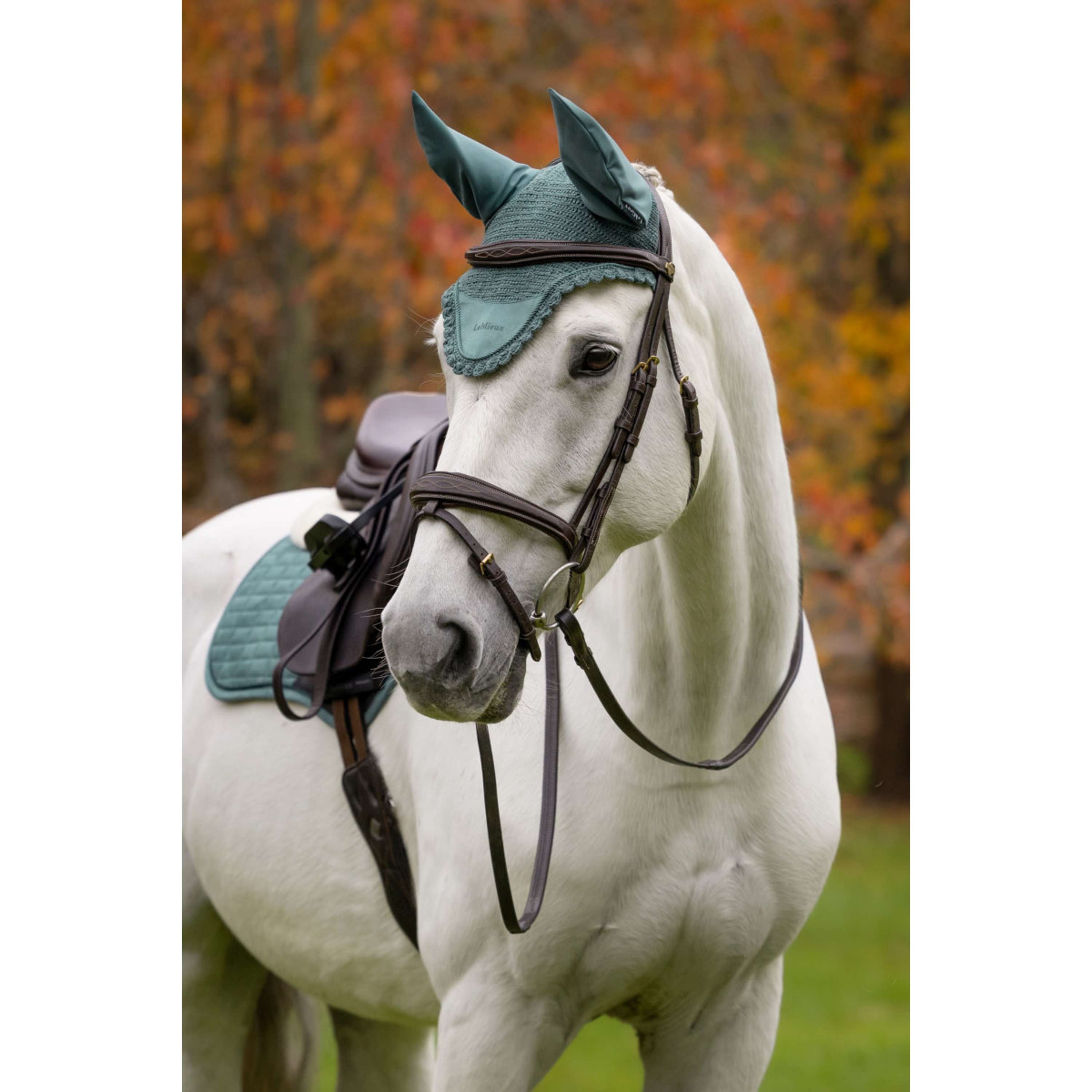 LeMieux Ear Bonnet Classique Aloe