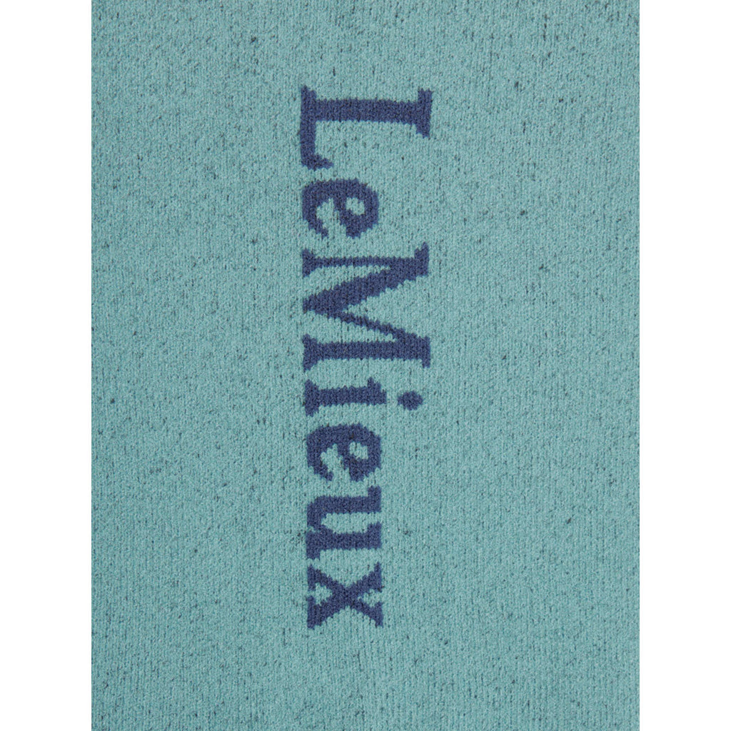 LeMieux Riding Socks Competition 2-pack Aloe