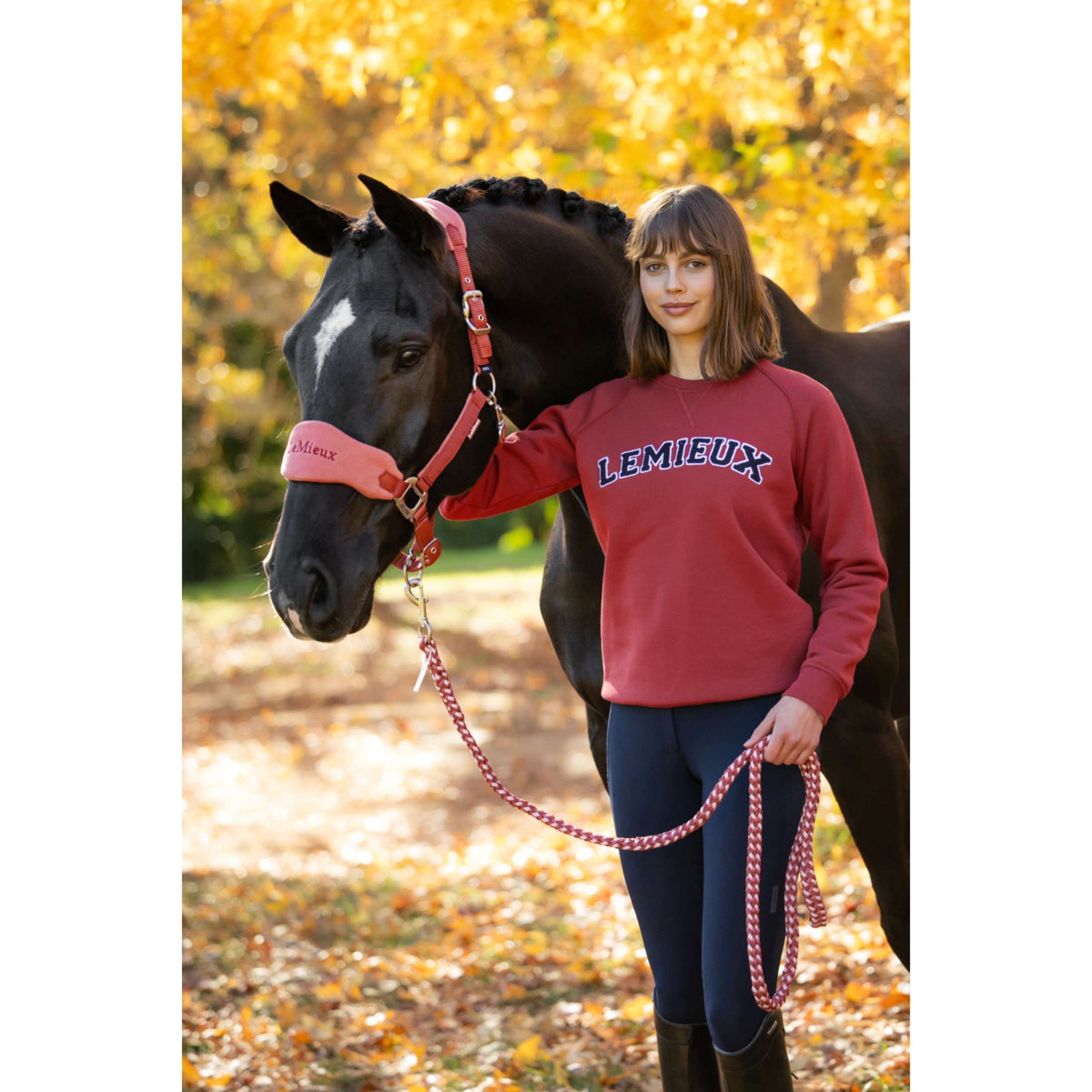 LeMieux Sweater Vida Varsity Crew Neck Russet