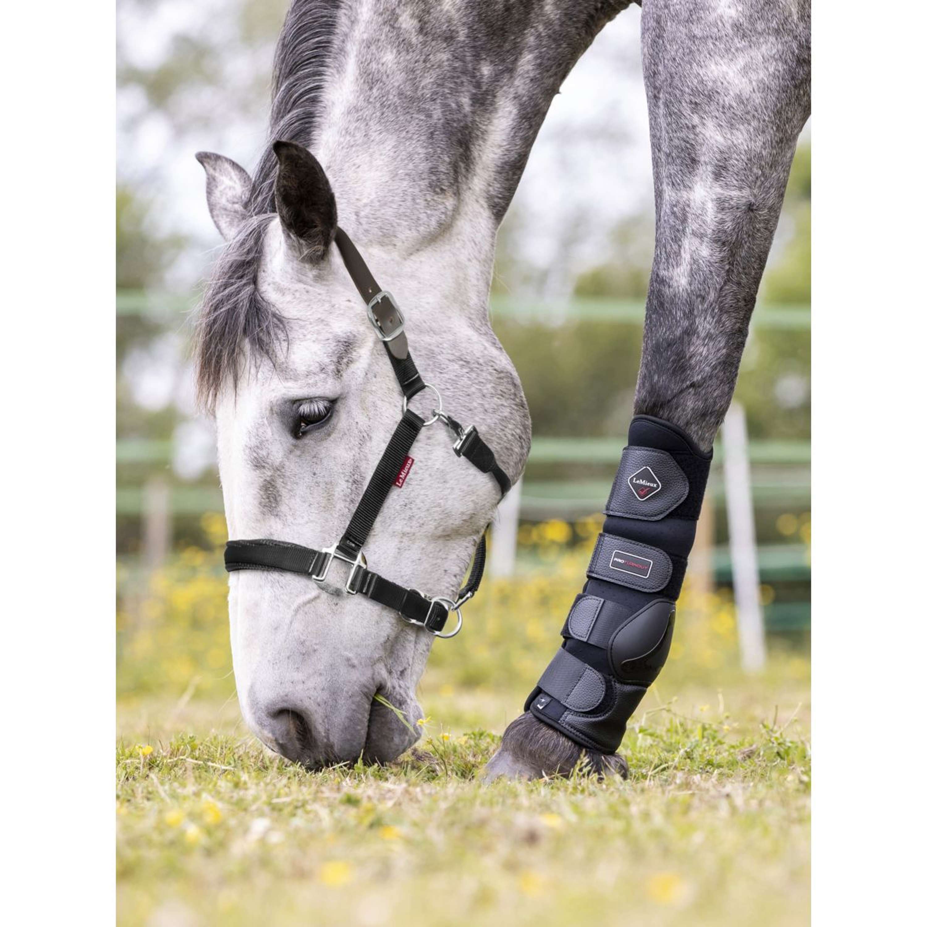 LeMieux Halter Break Away Black