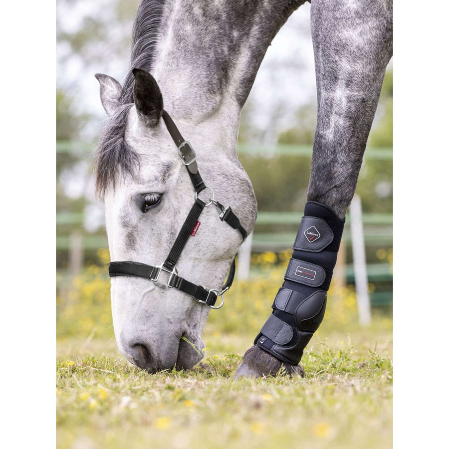 LeMieux Halter Break Away Black