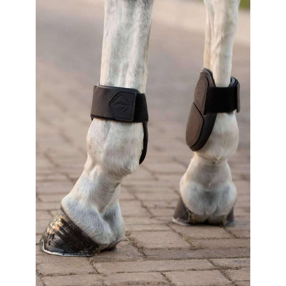 LeMieux Fetlock Boots Capella Leather Black