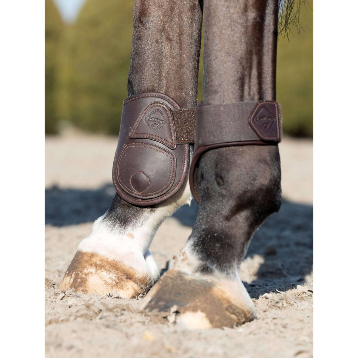 LeMieux Fetlock Boots Capella Leather Brown