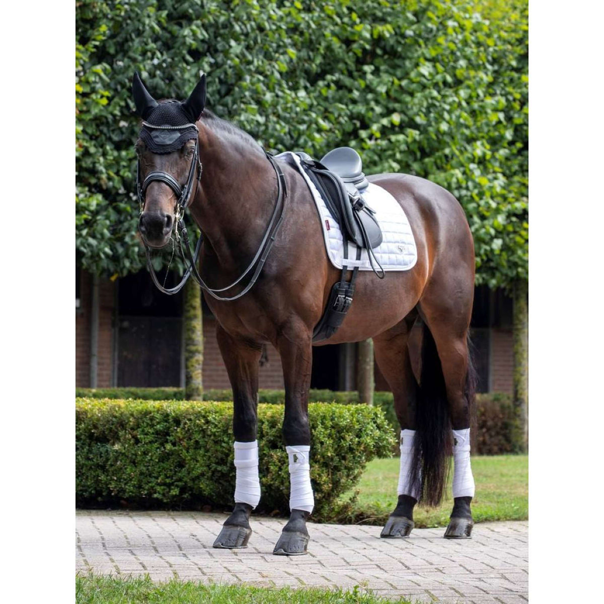 LeMieux Saddlepad Loire Dressage White