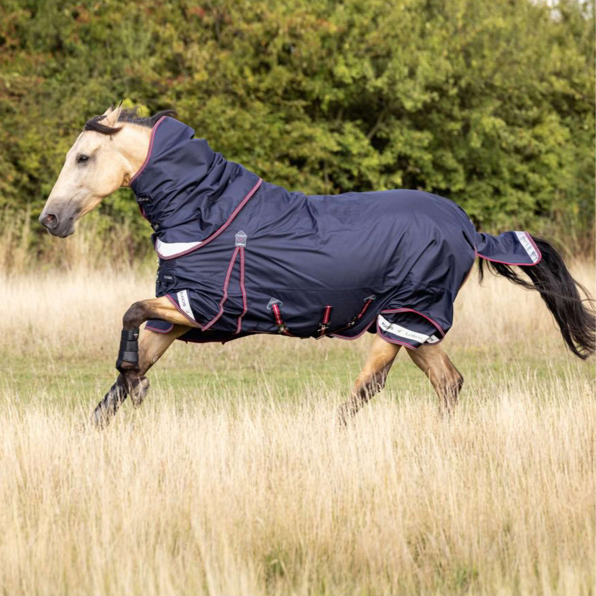 LeMieux Rug Kudos Turnout 50g Navy