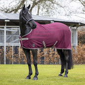 LeMieux Fly Rug Arika Air-Tek Burgundy