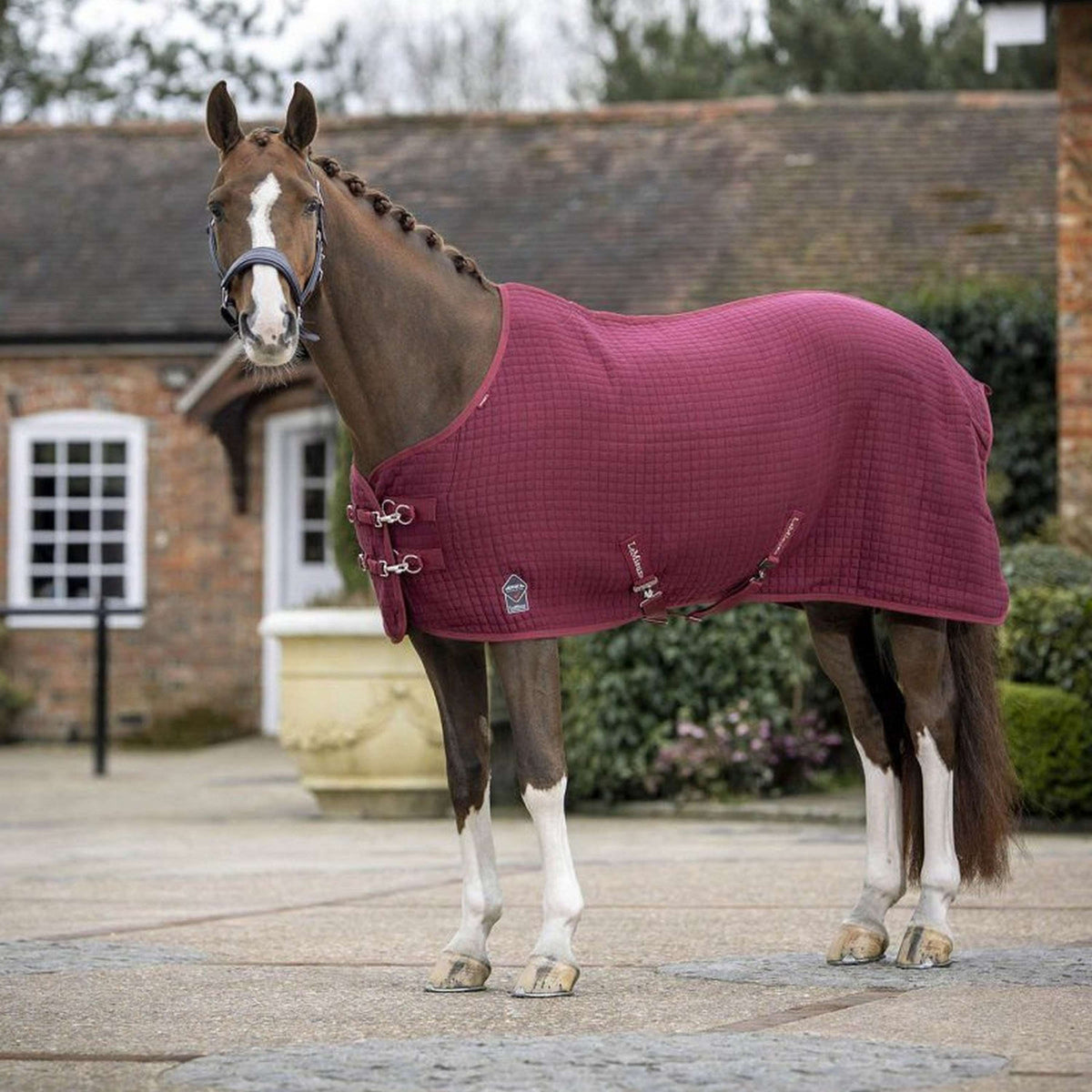 LeMieux Rug Arika Clima-Tek Burgundy