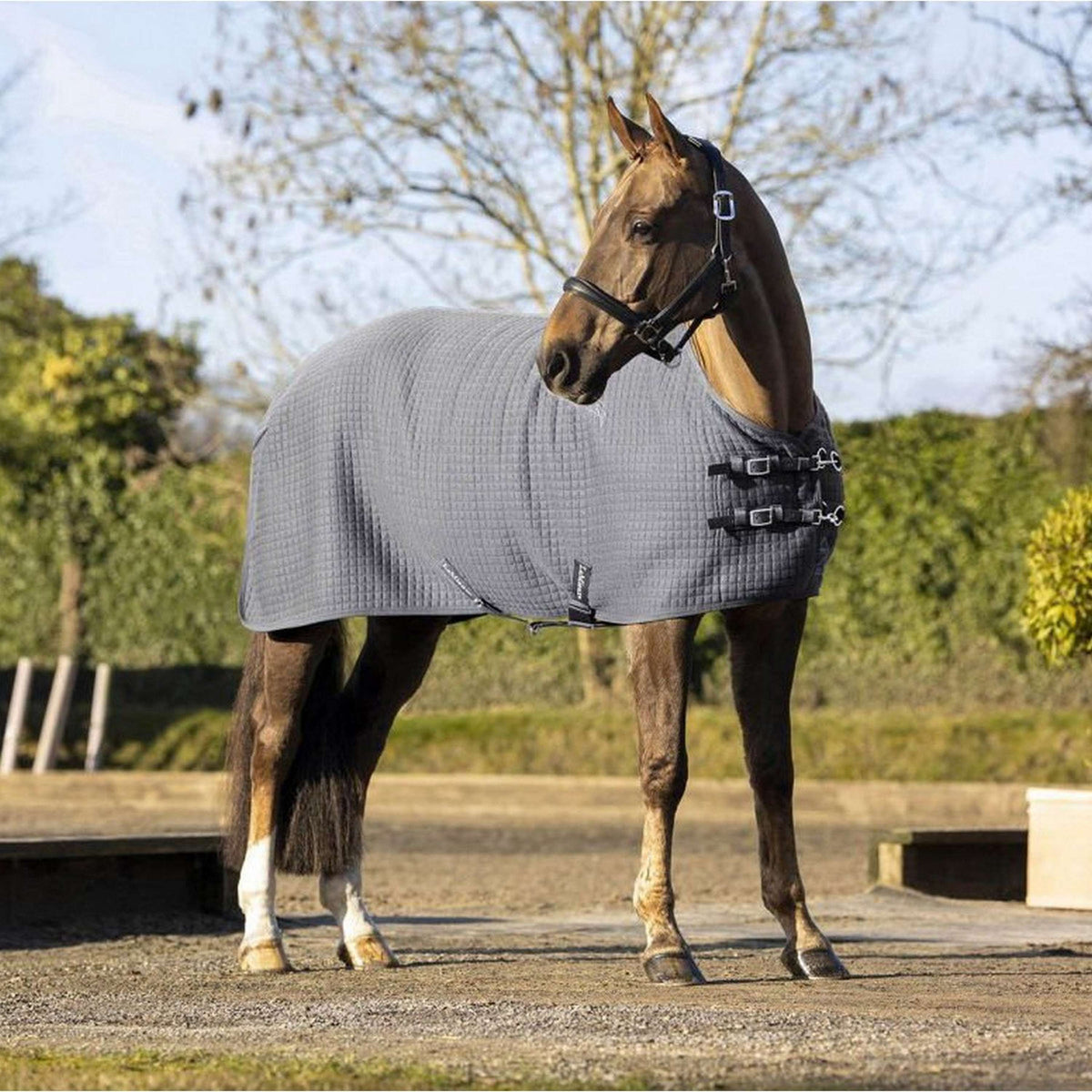 LeMieux Rug Arika Clima-Tek Grey