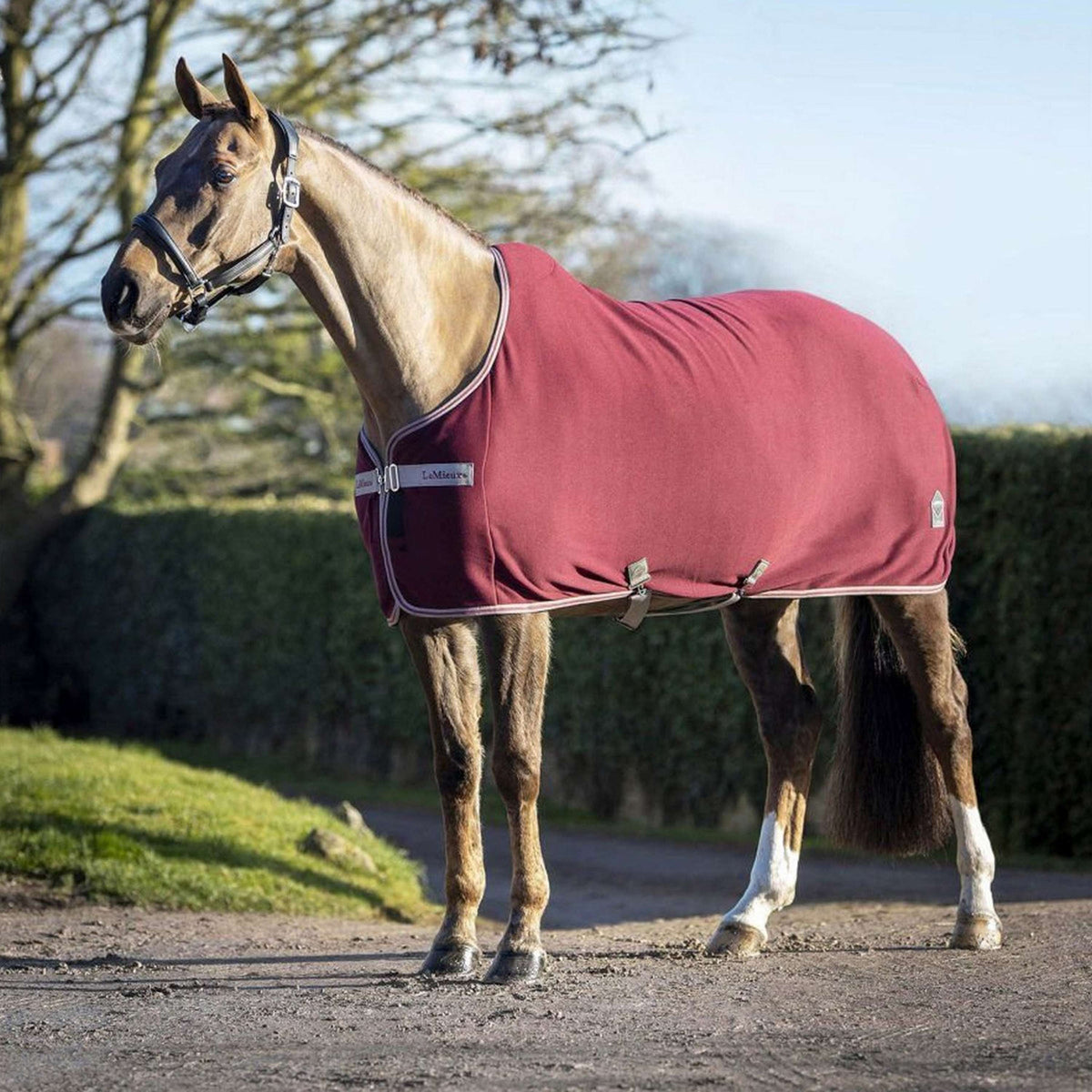 LeMieux Fleece Rug Arika Jersey-Tek Burgundy