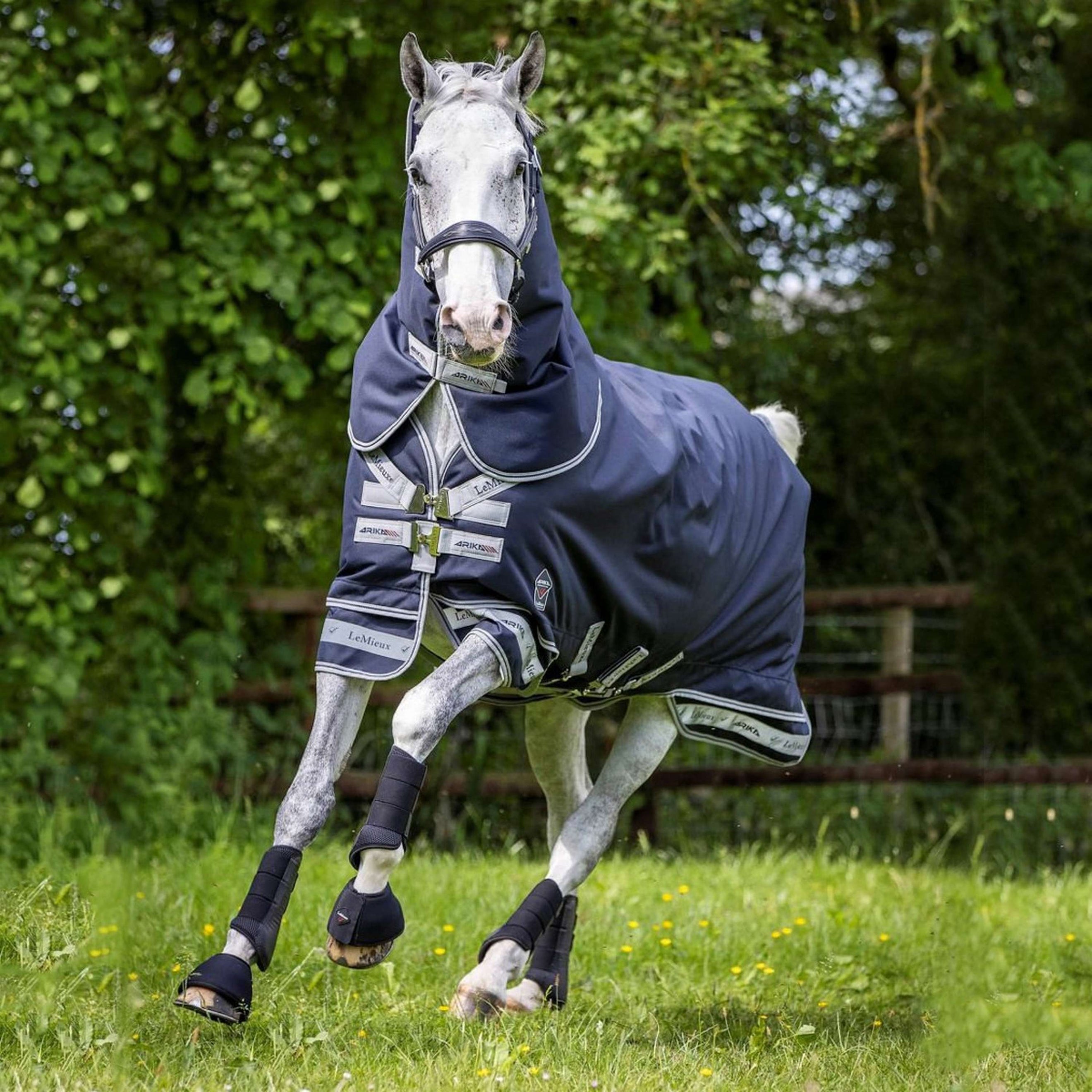 LeMieux Rug Arika Storm-Tek Turnout 350g Navy