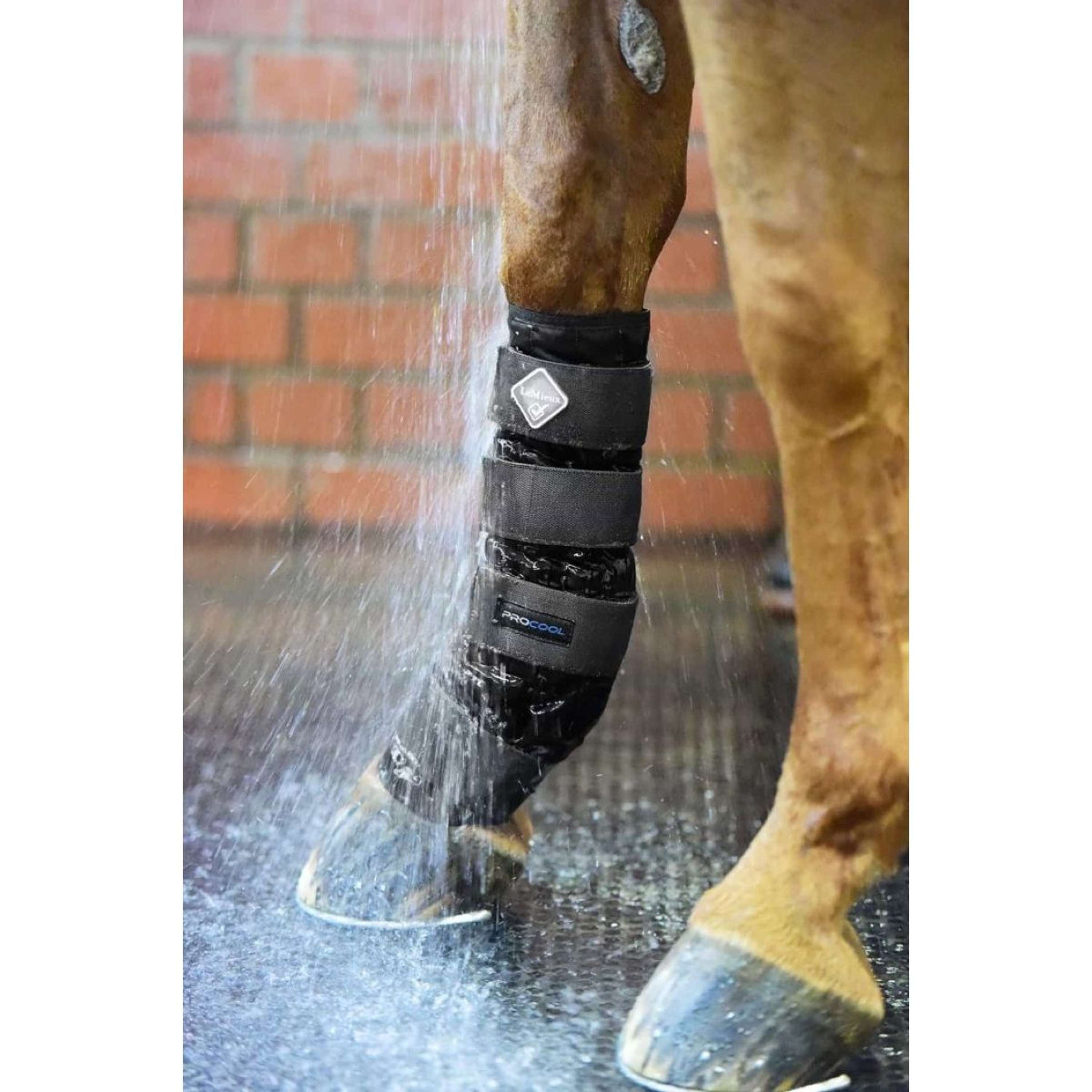 LeMieux Boots Cold Water Black