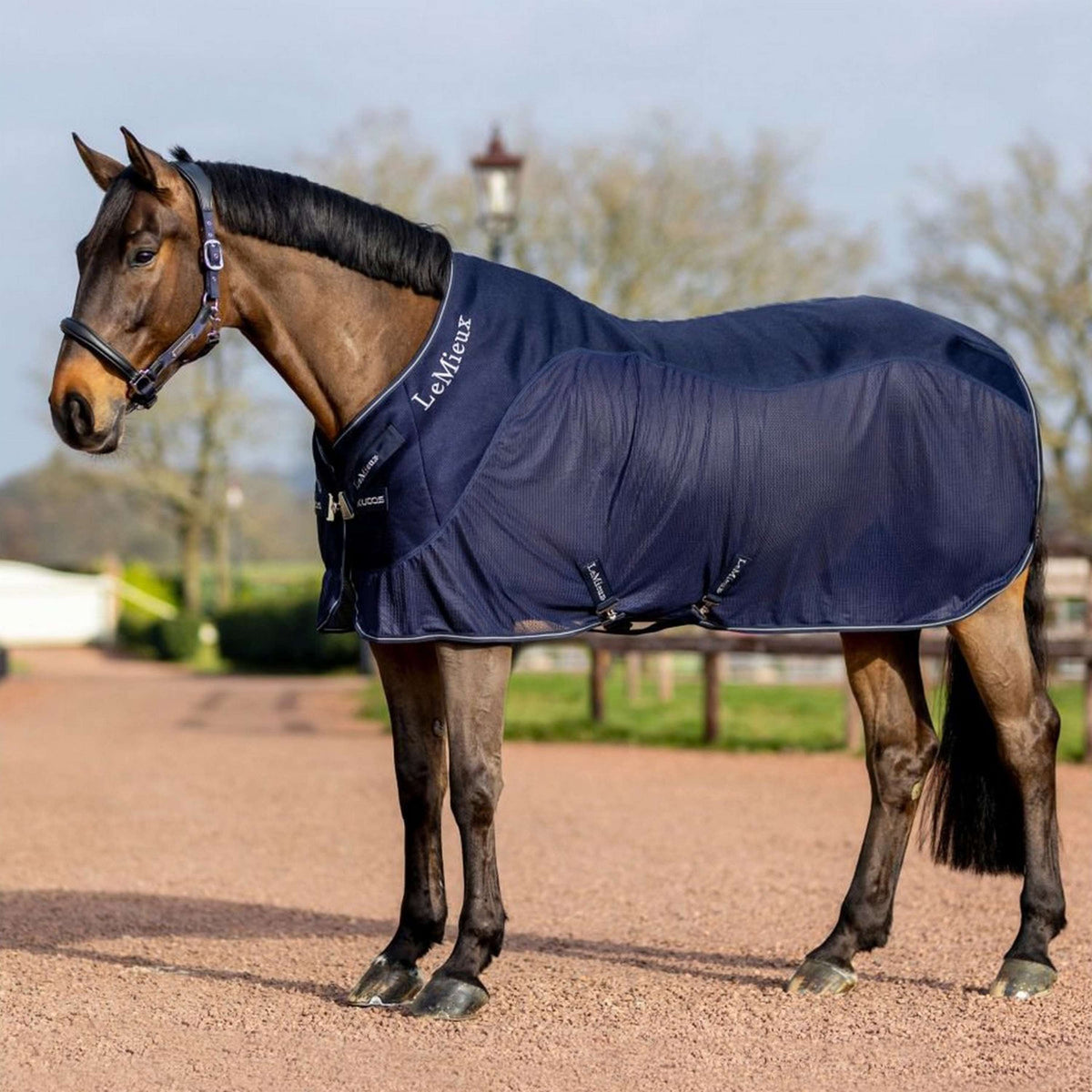 LeMieux Rug Kudos Mesh Sports Cooler Navy