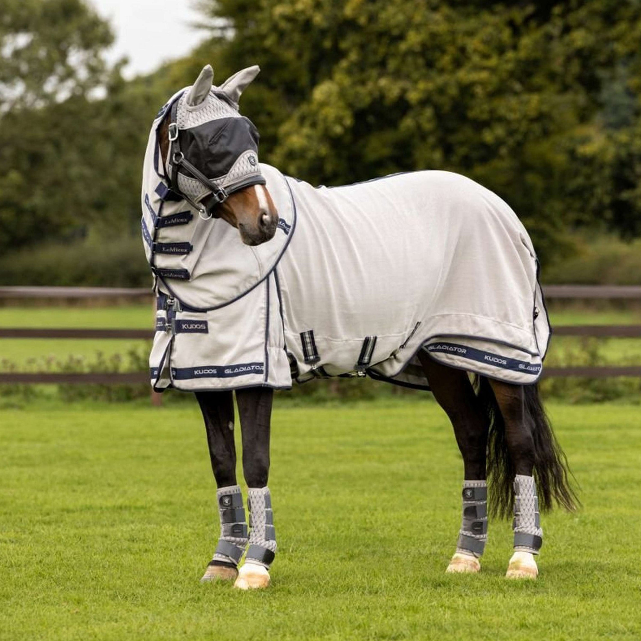 LeMieux Fly Rug Arika Kudos Gladiator Grey LeMieux Fly Rug Arika Kudos Gladiator Grey