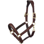 LeMieux Halter Anatomical Leather Brown