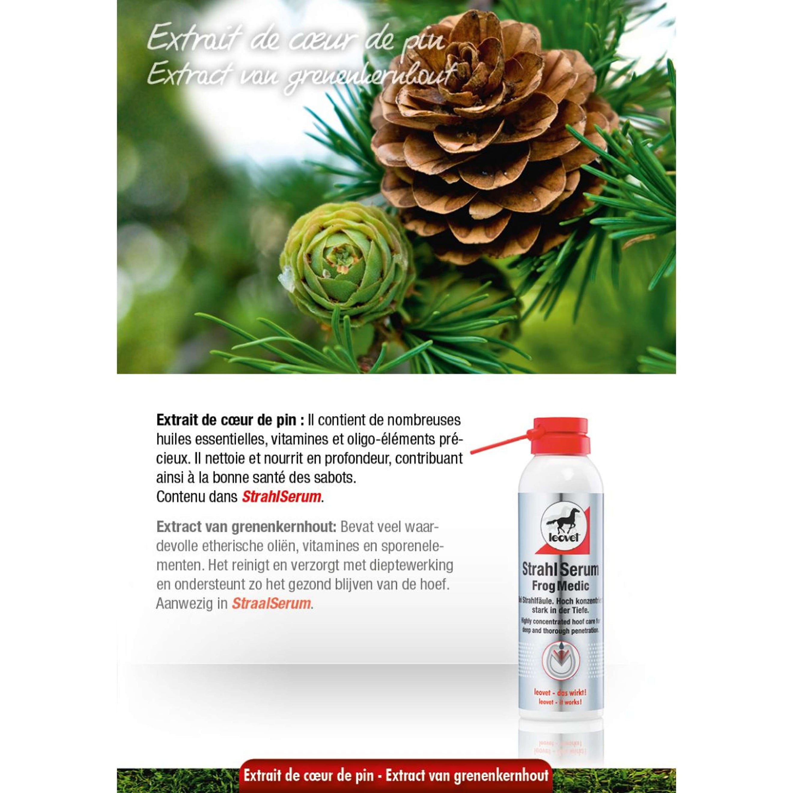 Leovet Frogsan Leovet Frogsan