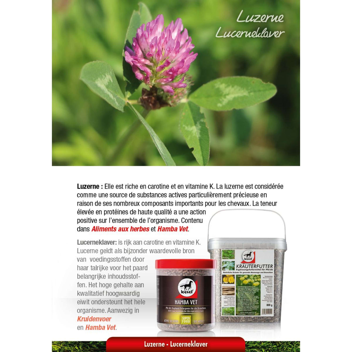 Leovet Herbage Feed