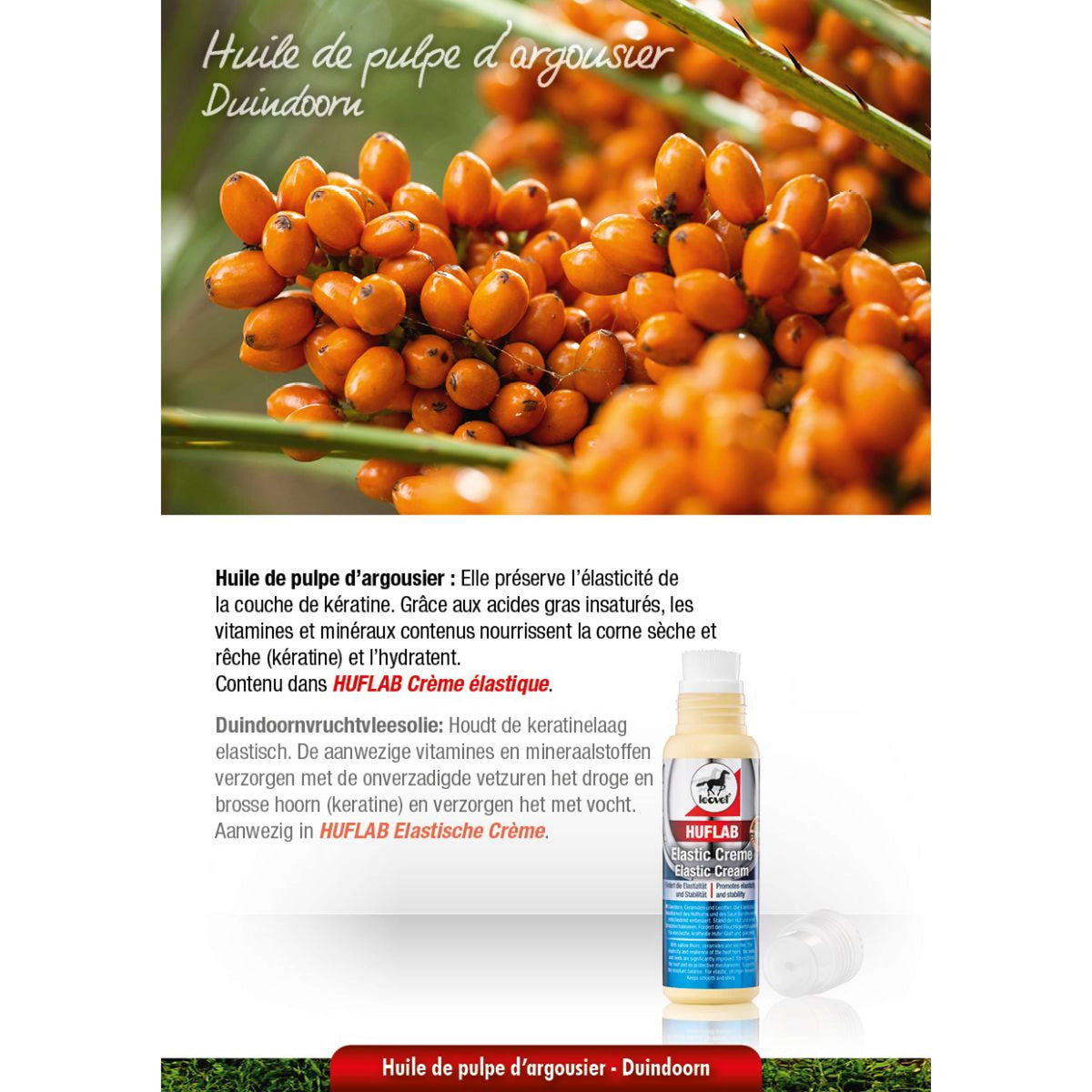 Leovet HoofLab Strengthener