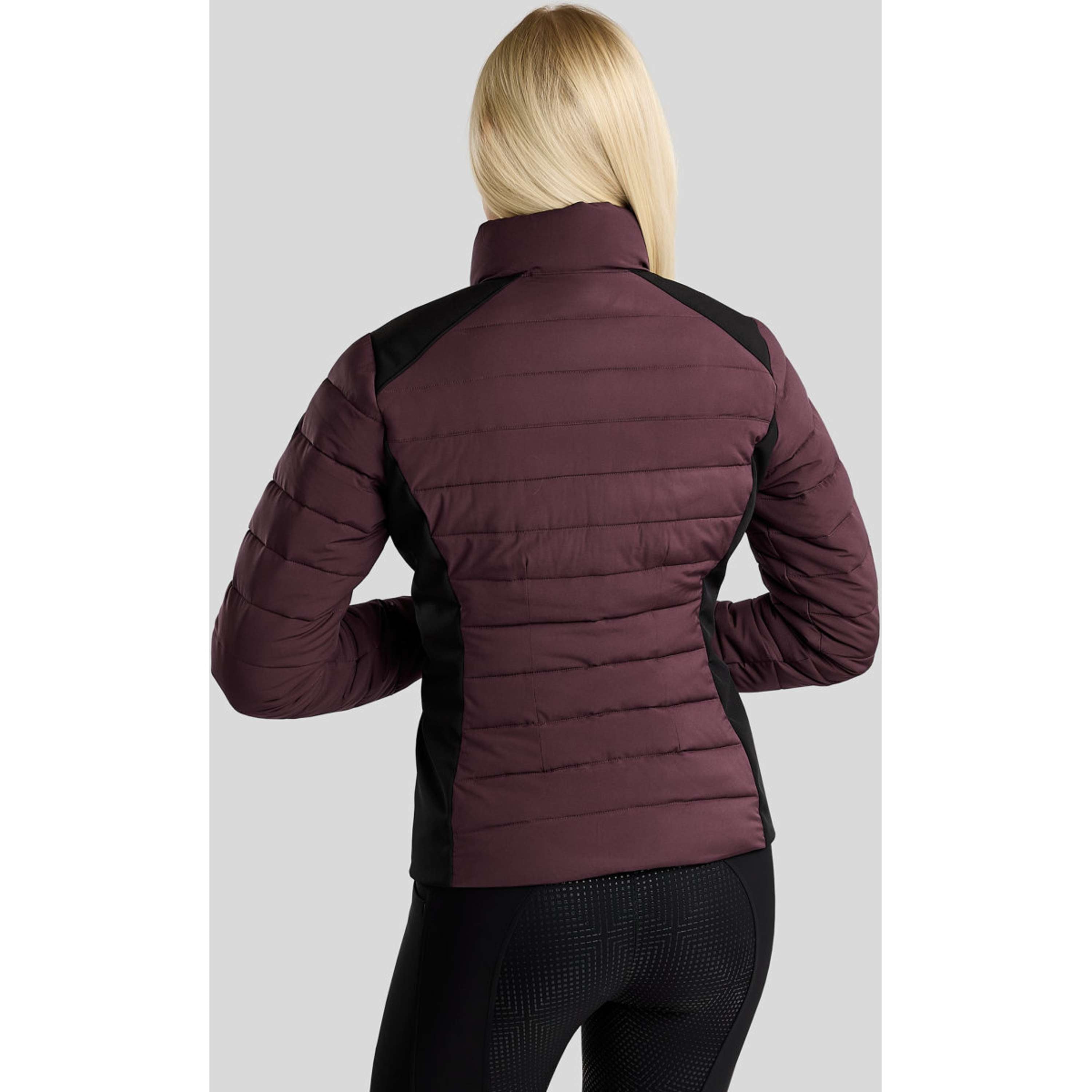 Montar Jacket MoRuby Essential Padded Softshell Fig