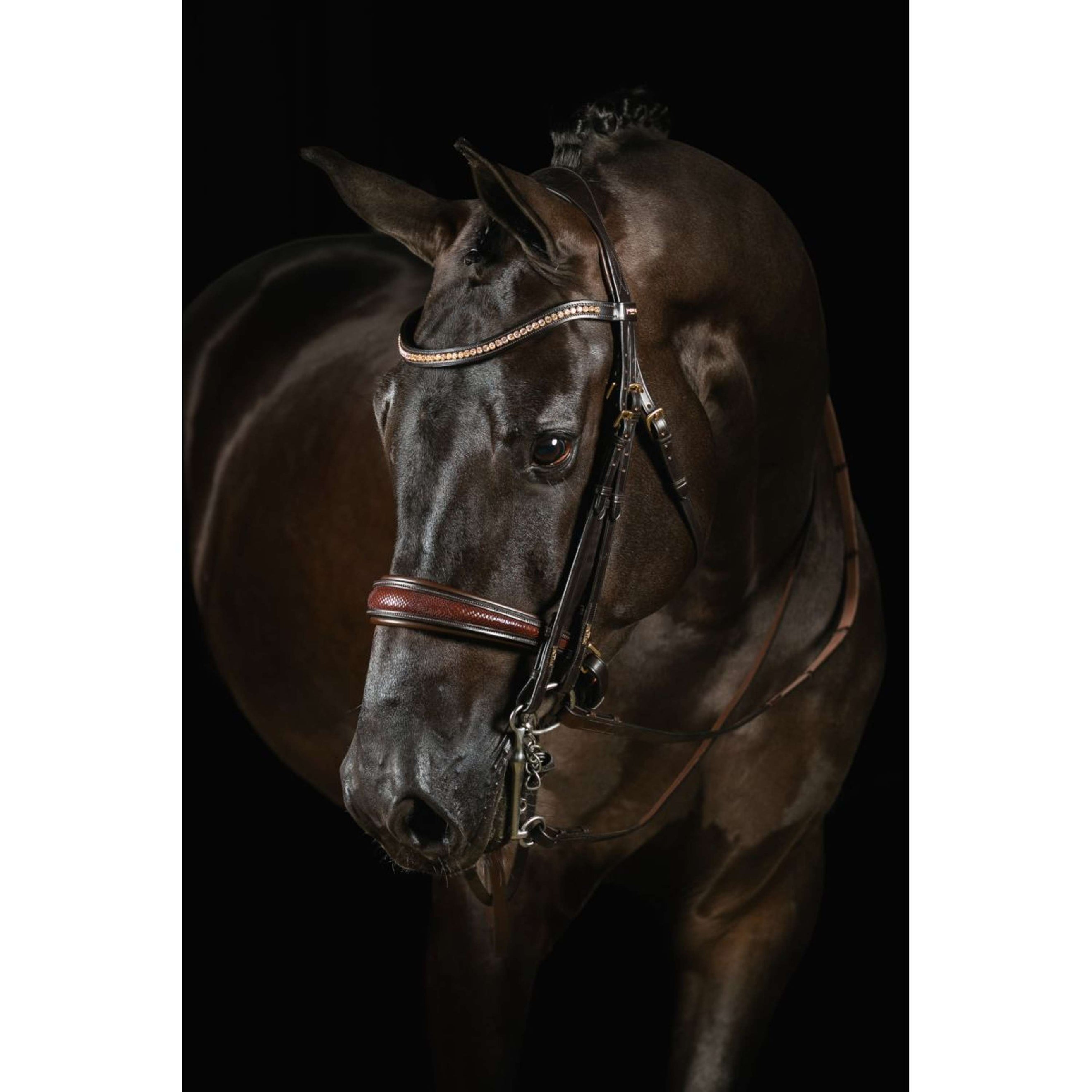 Mrs. Ros Double Bridle Knight Power Deluxe Brown