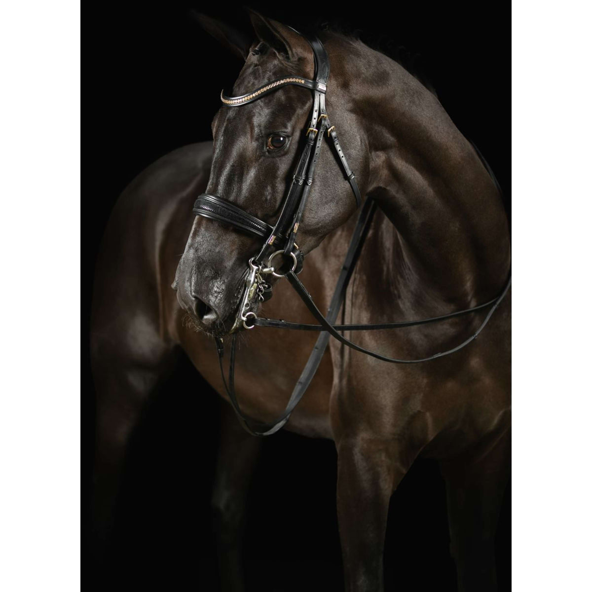 Mrs. Ros Double Bridle Knight Power Deluxe Black