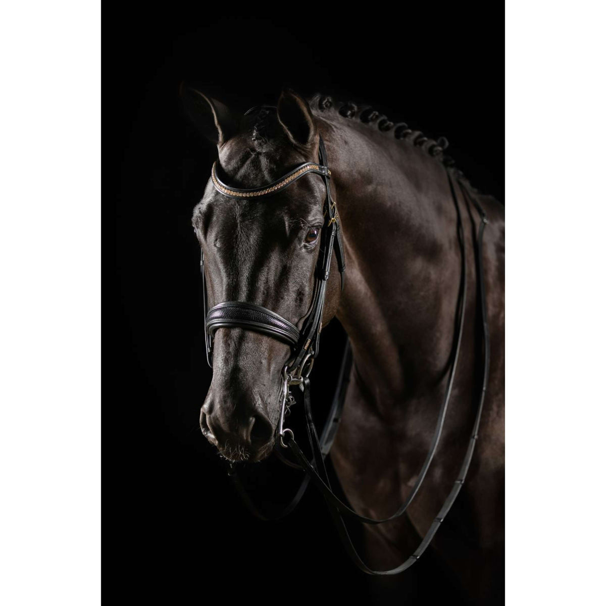 Mrs. Ros Double Bridle Knight Power Deluxe Black