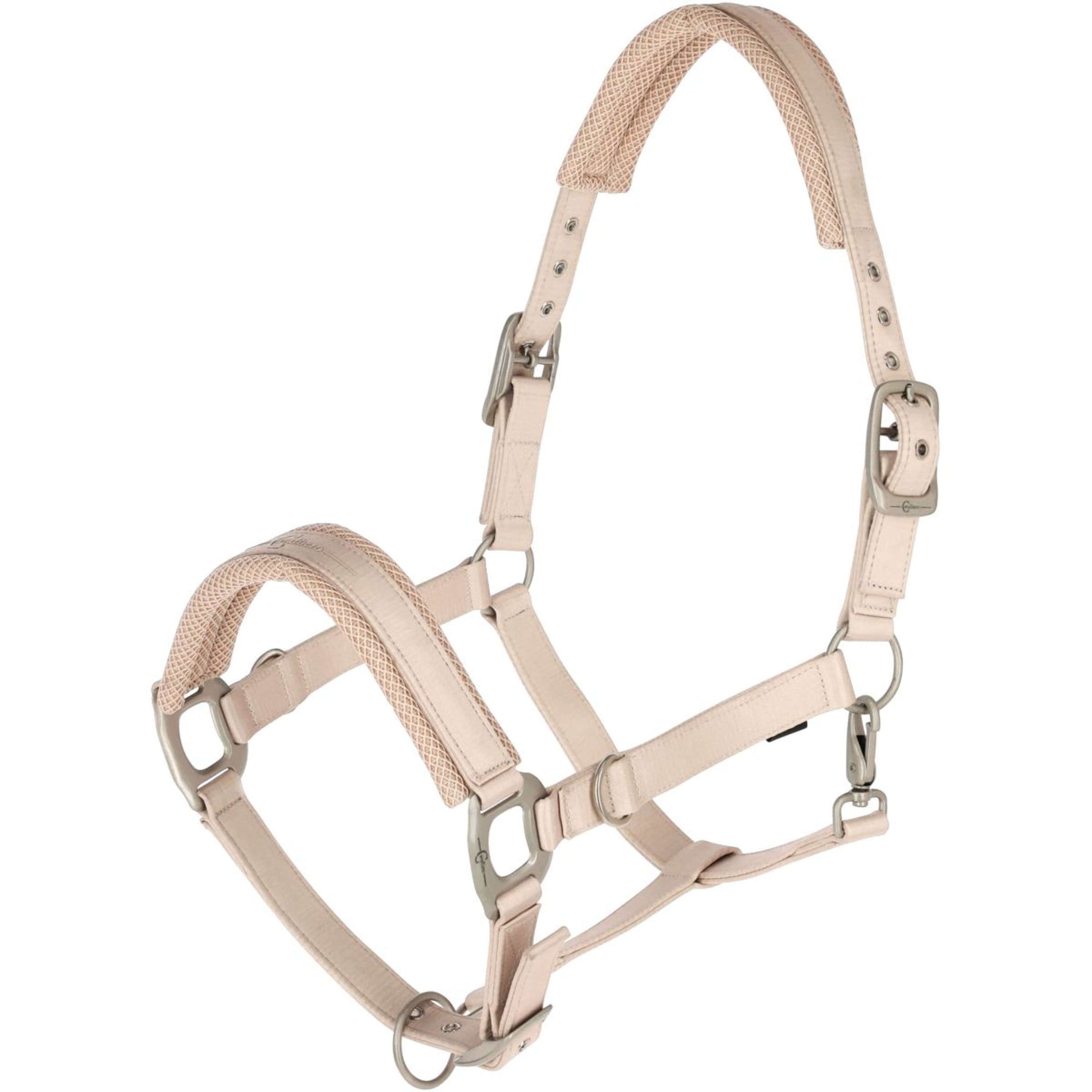 Covalliero Halter Irish Cream