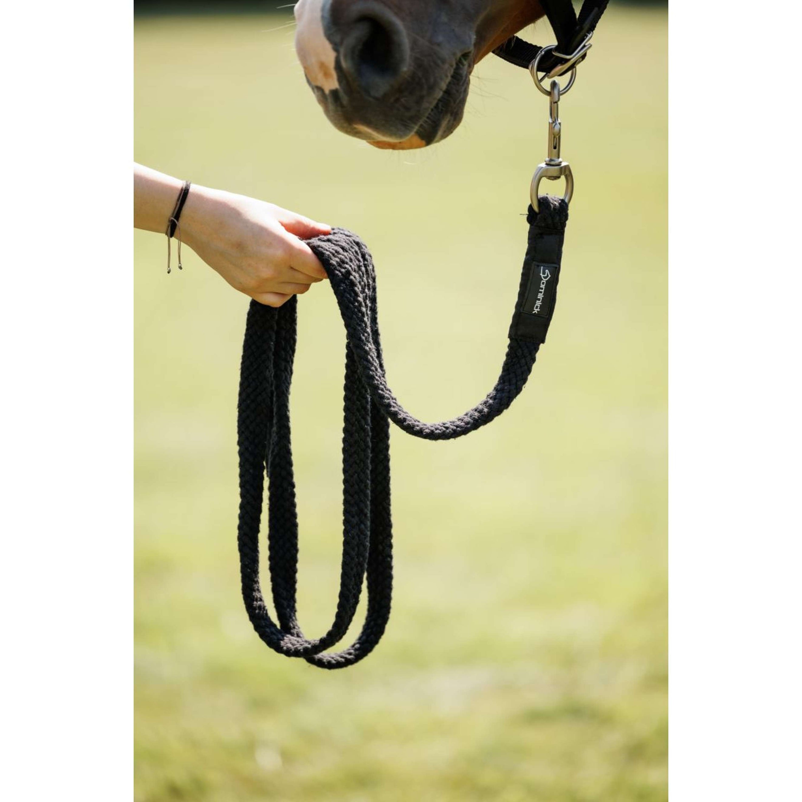 Dominick Lead Rope Gevlochten Black