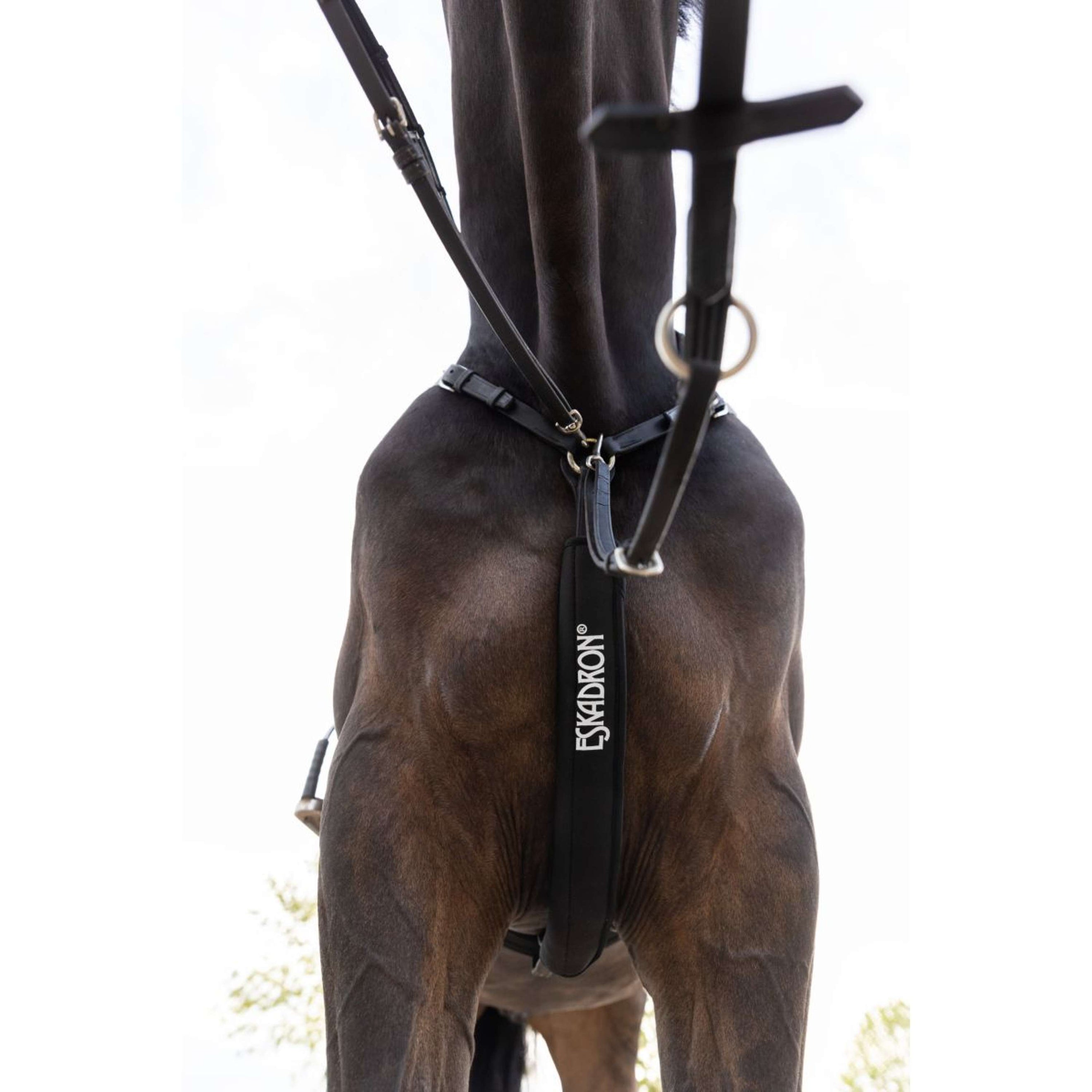 Eskadron Martingale Protector Neoprene Black