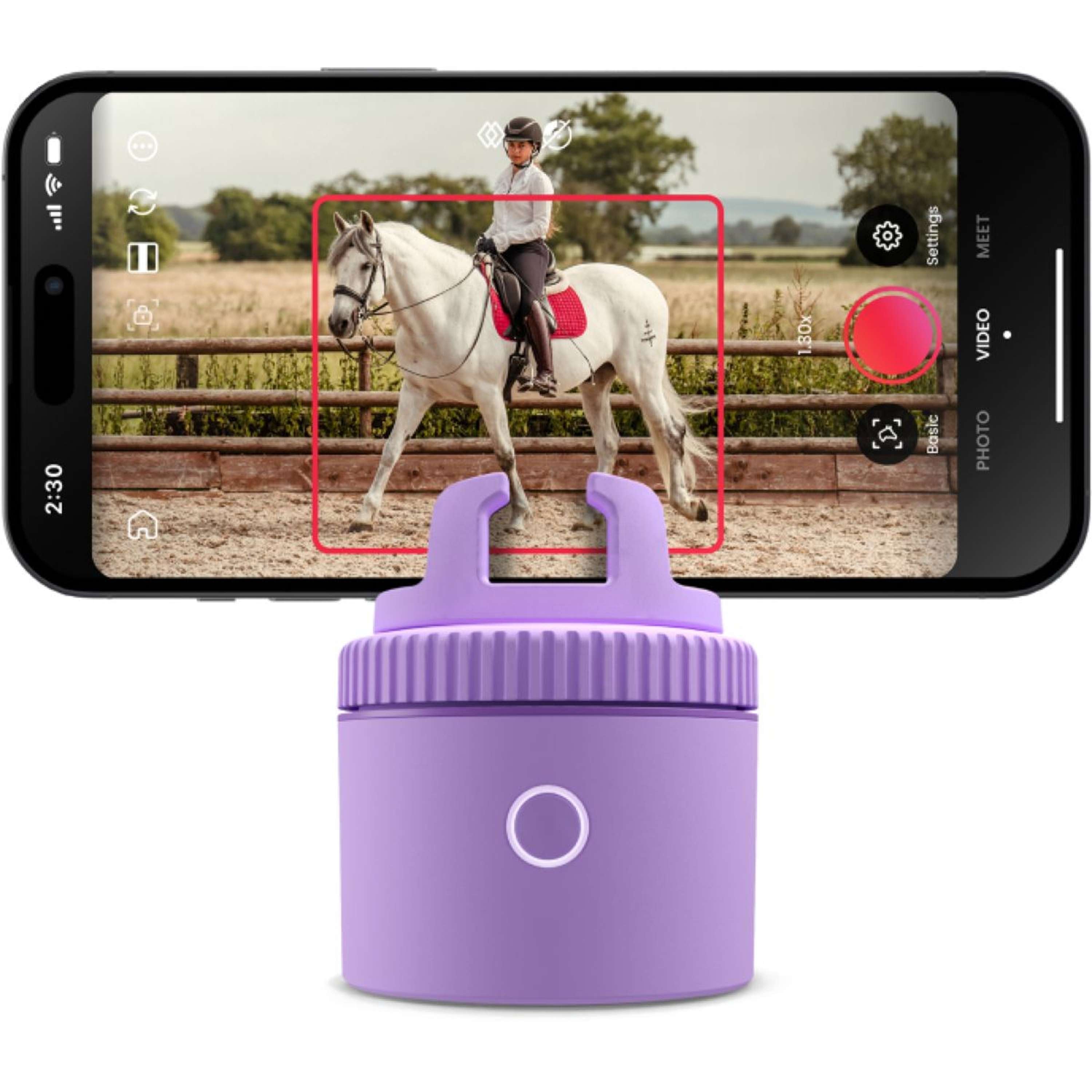 Pivo Pod Purple