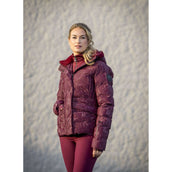 PK Jacket Bellisimo Port