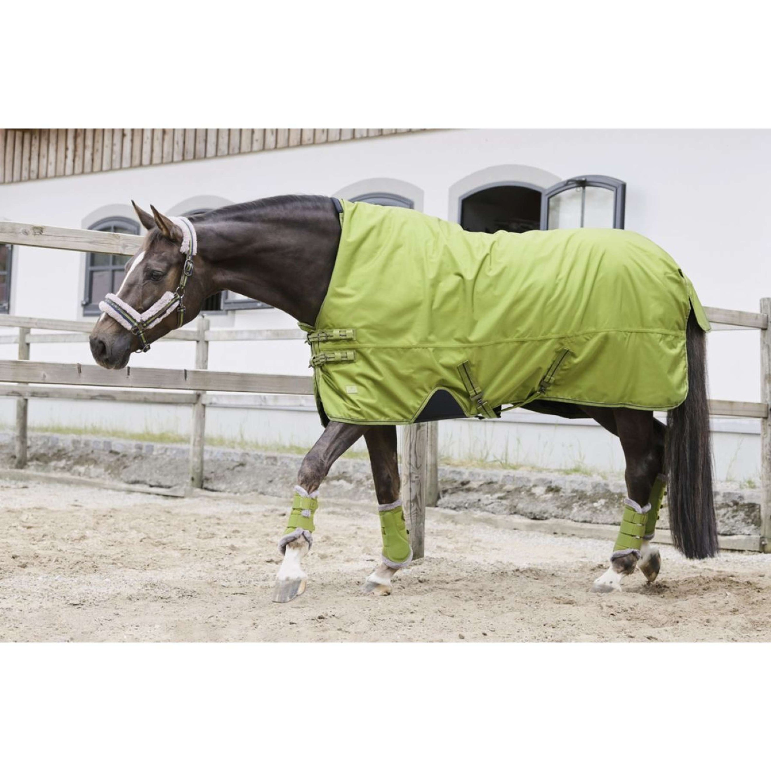 Eskadron Dressage Boots Platinum Mesh Fauxfur moss-green