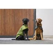 Eskadron Dog Coat Platinum Bouclé Teak