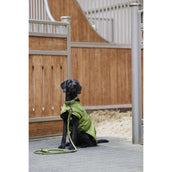 Eskadron Dog Set Platinum moss-green