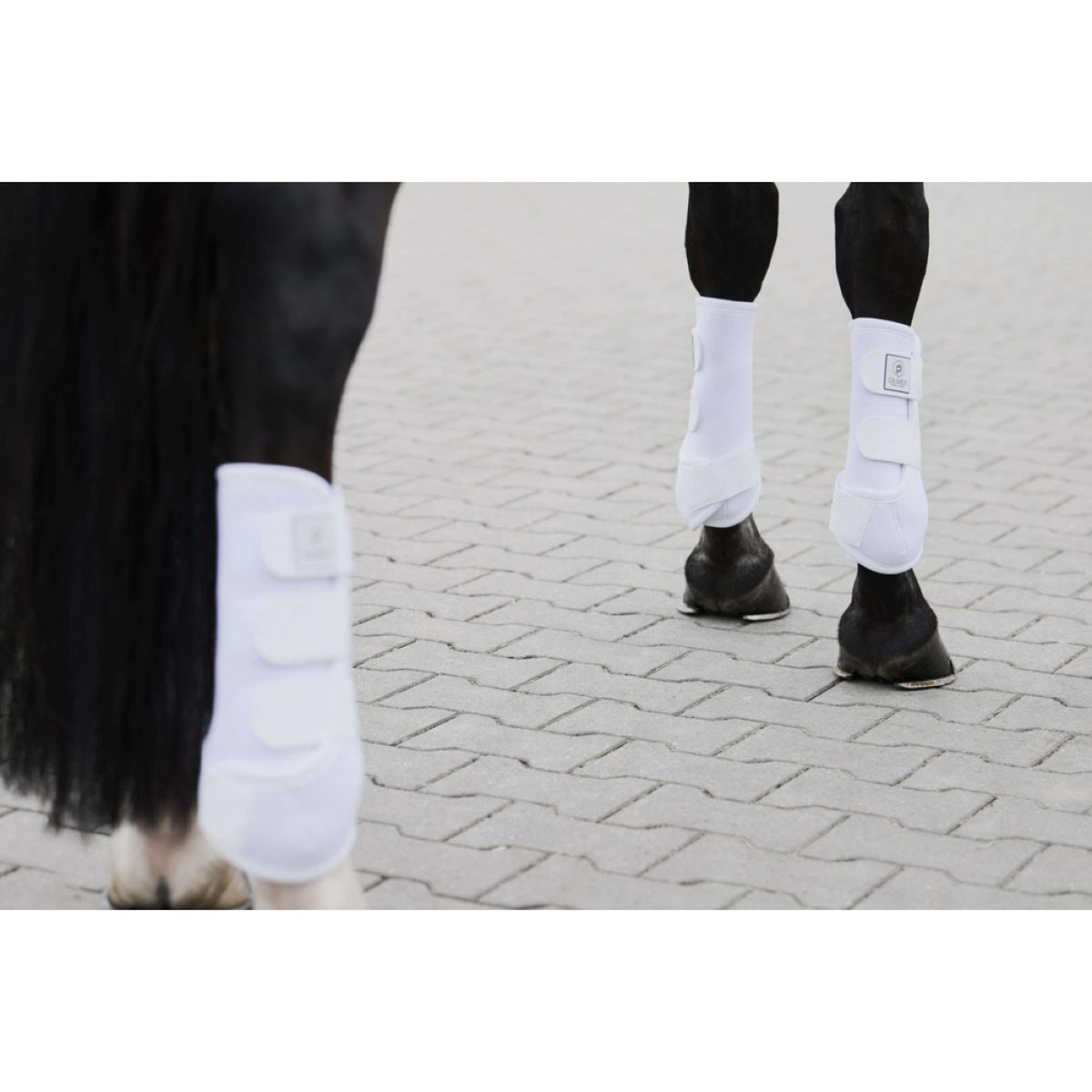 Eskadron Flextrainers Platinum Pro Dressage For White