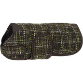 Eskadron Dog Coat Platinum Bouclé Teak