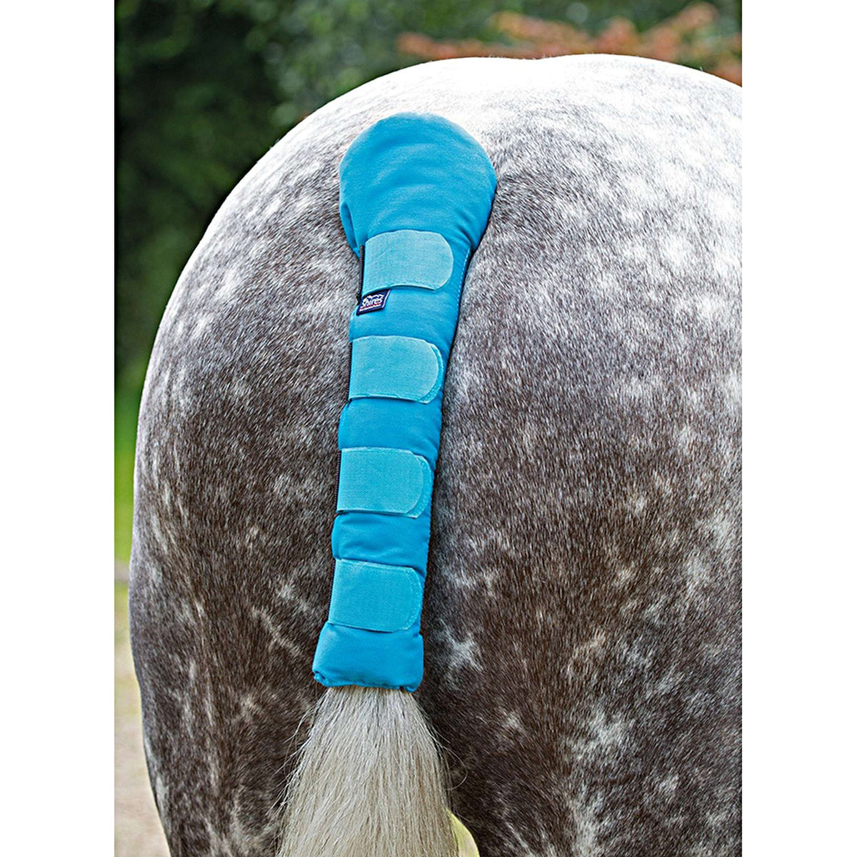 Arma by Shires Tail Guard Padded Bright Blue