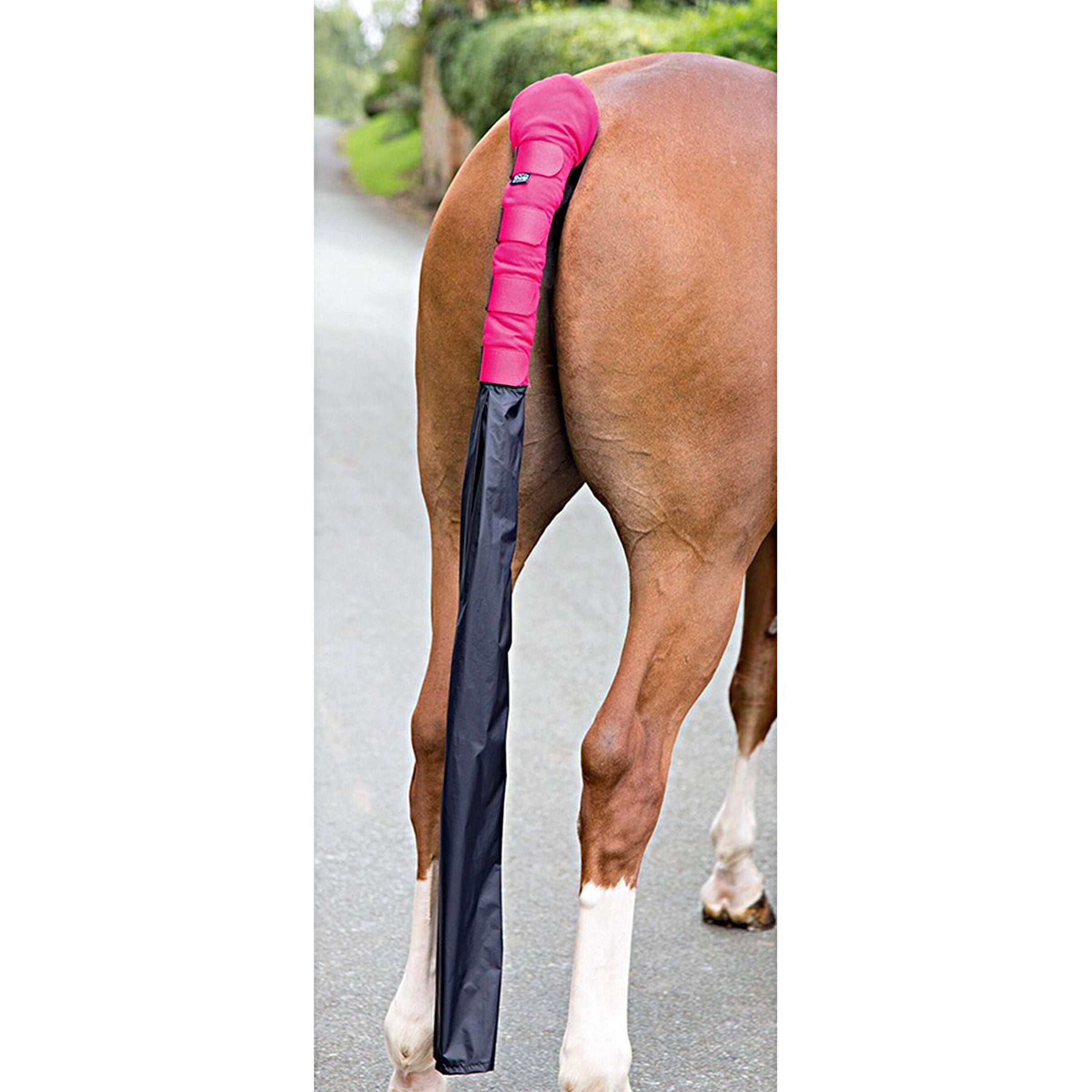 Arma by Shires Tail Guard Padded with Bag Pink