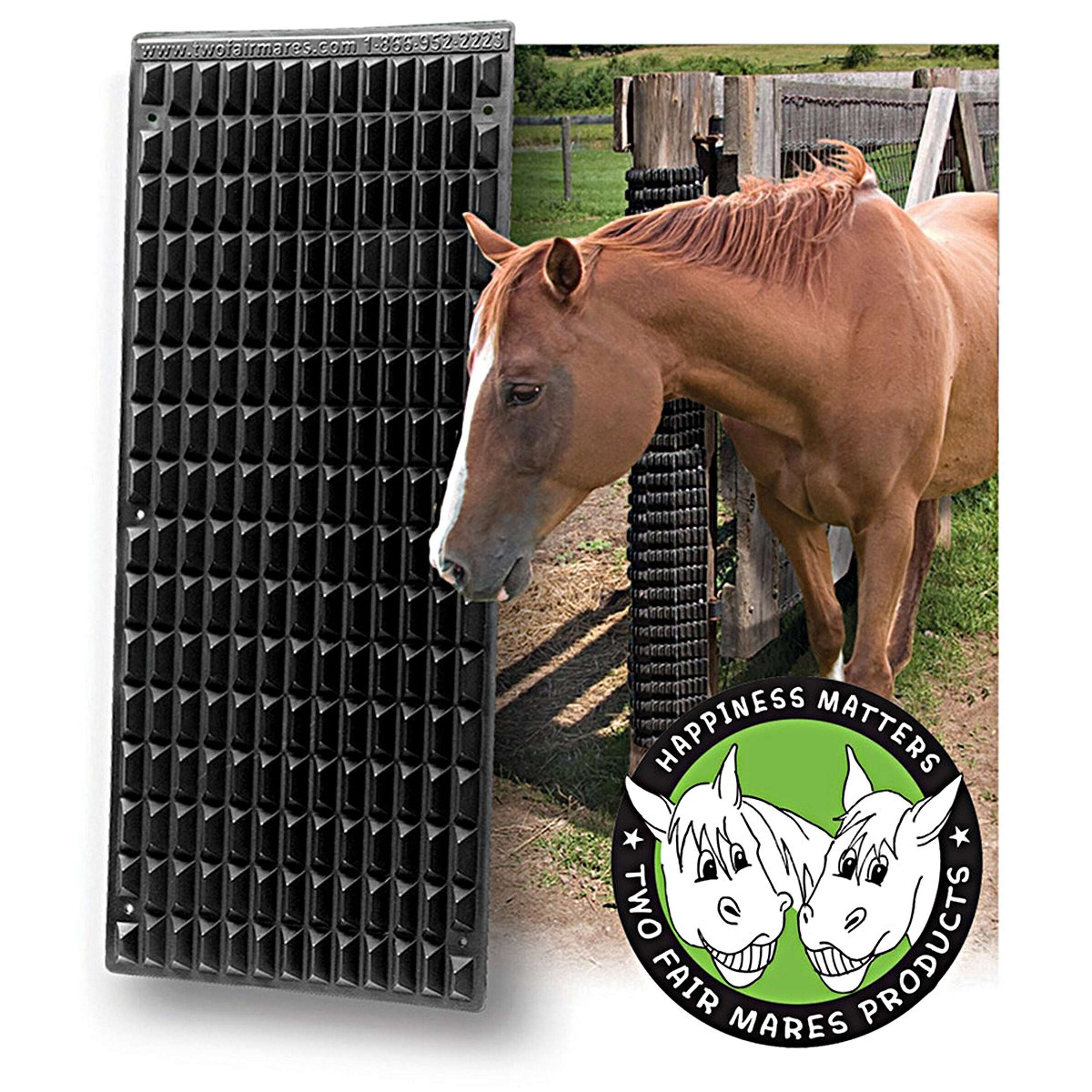 Shires Scratcher Equine Black