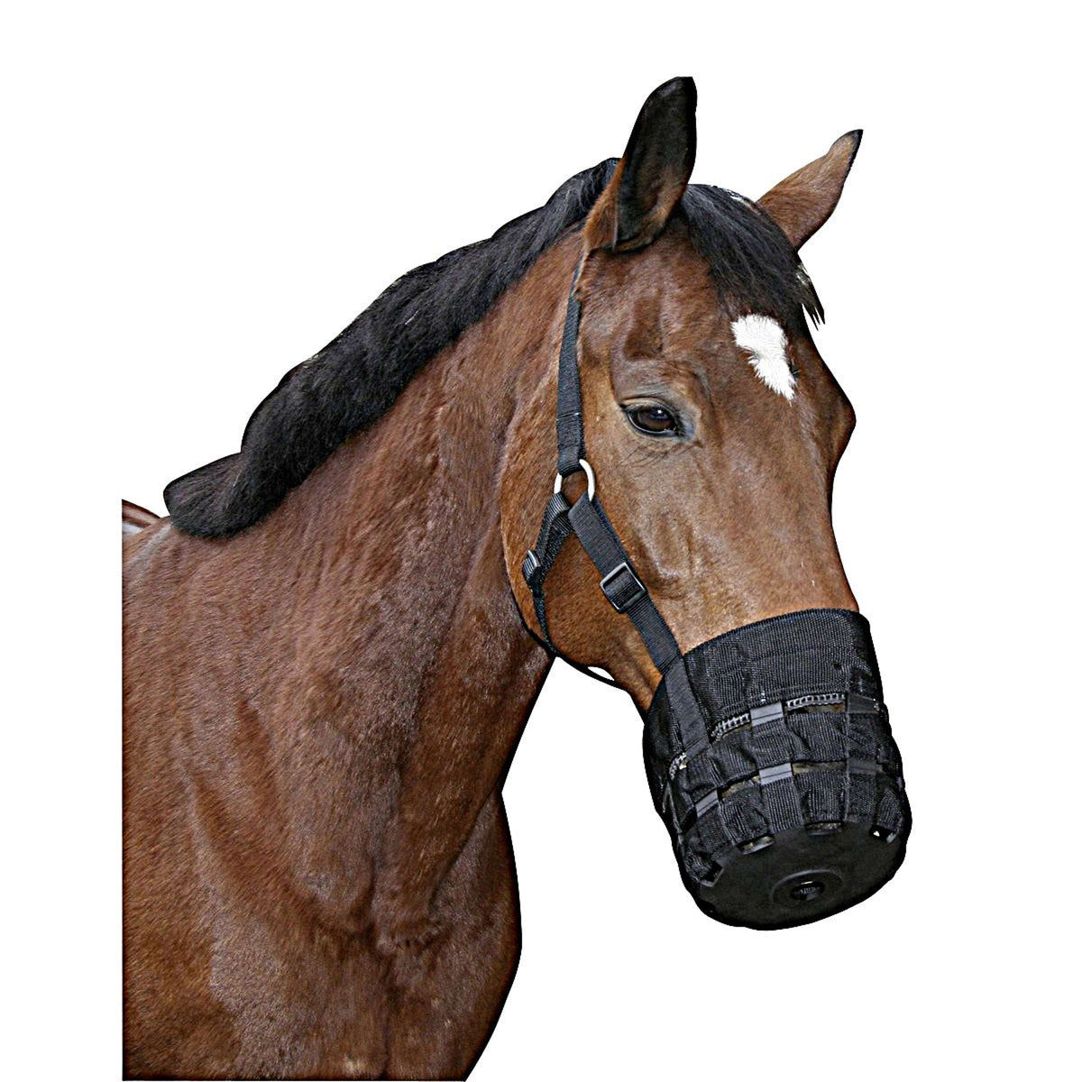 Kerbl Muzzle with Head-Collar Black