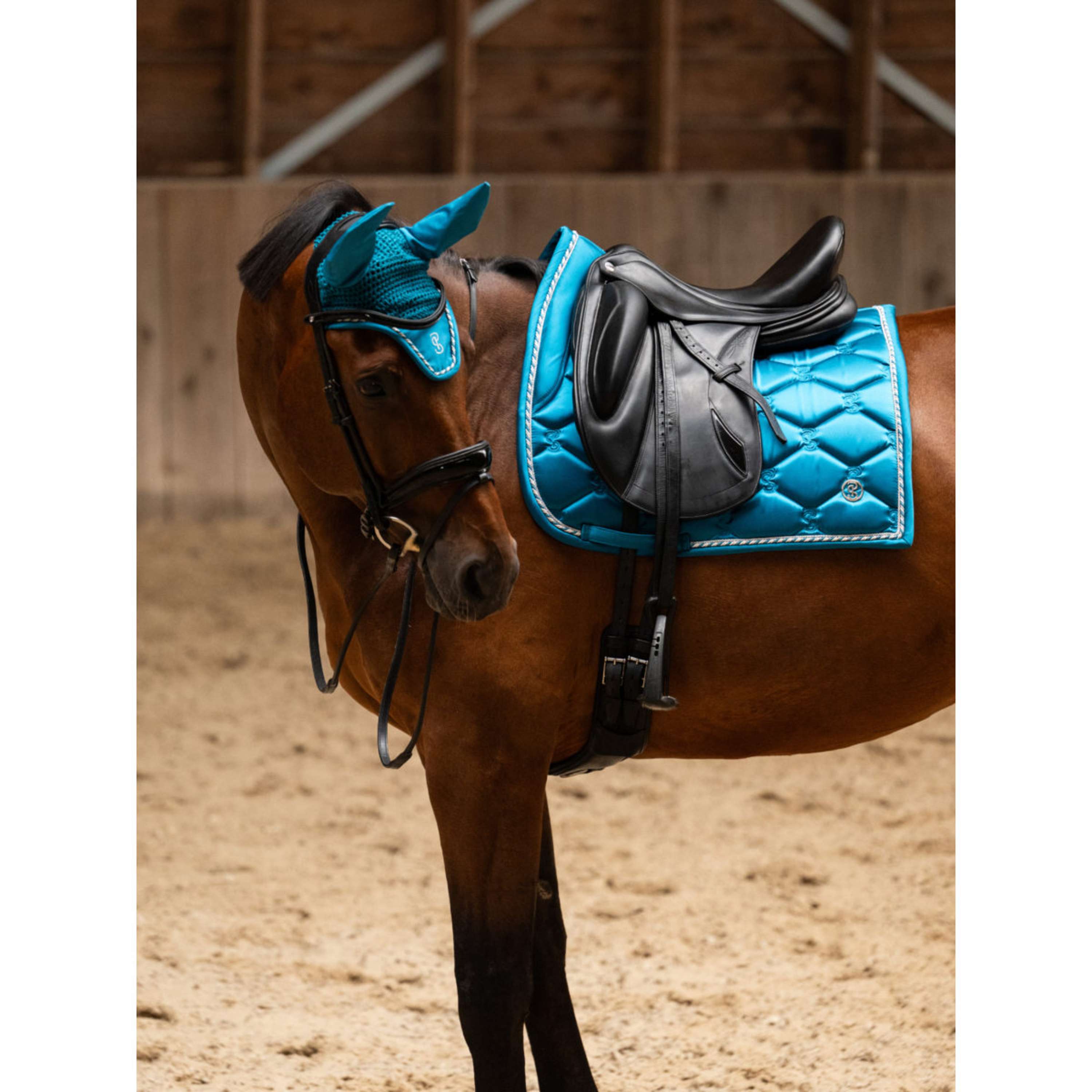 PS of Sweden Saddlepad Signature Dressage Evening Teal