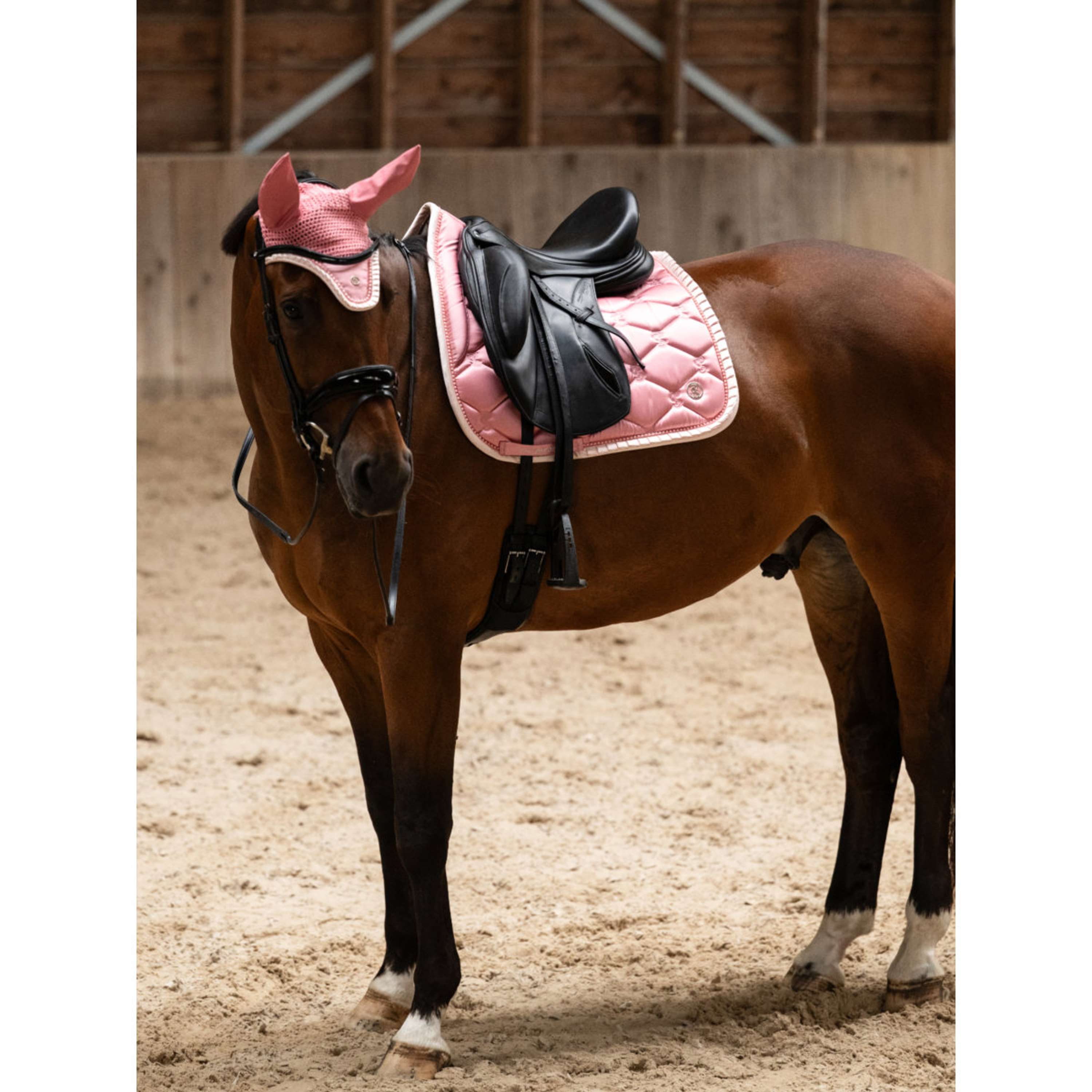 PS of Sweden Saddlepad Ruffle Pearl Dressage Vintage Pink