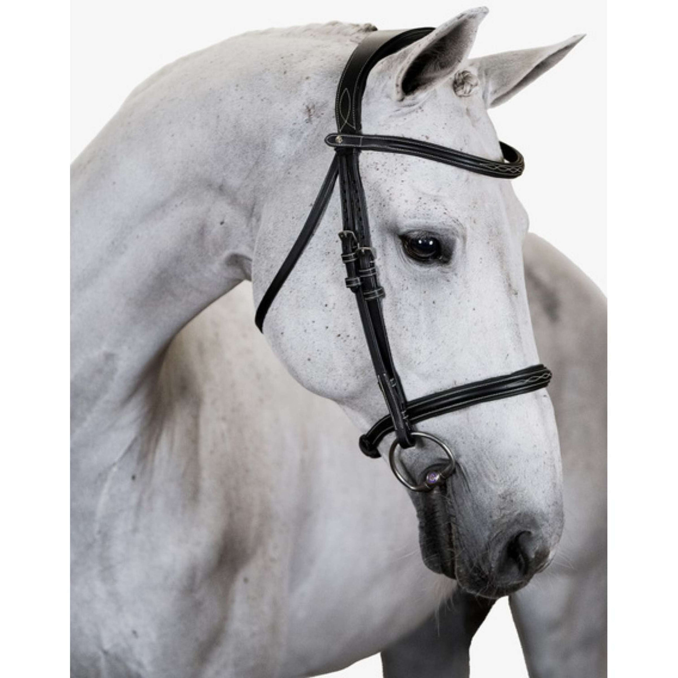 PS of Sweden Bridle Ocala Black