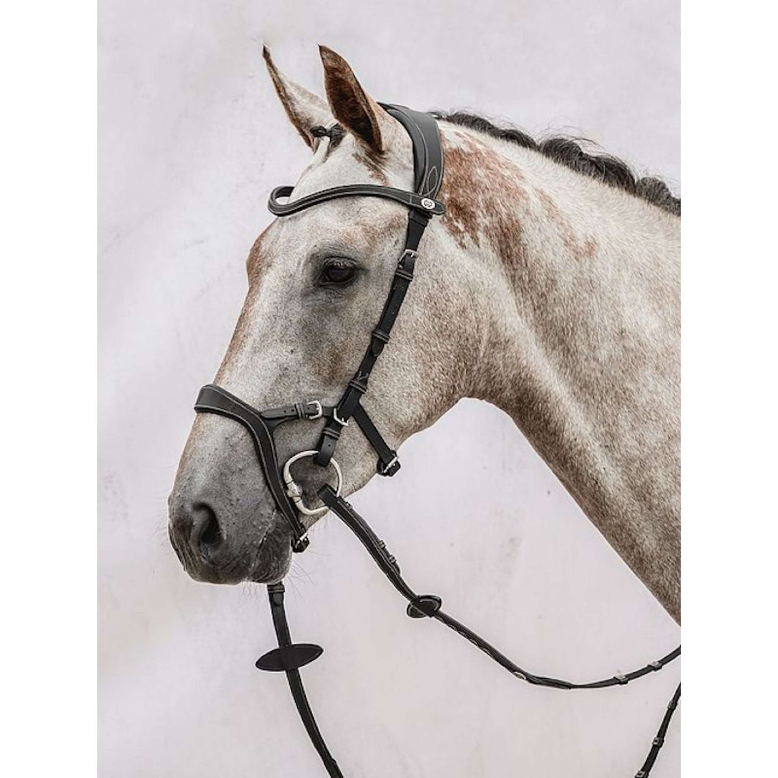 PS of Sweden Bridle Nirak Black