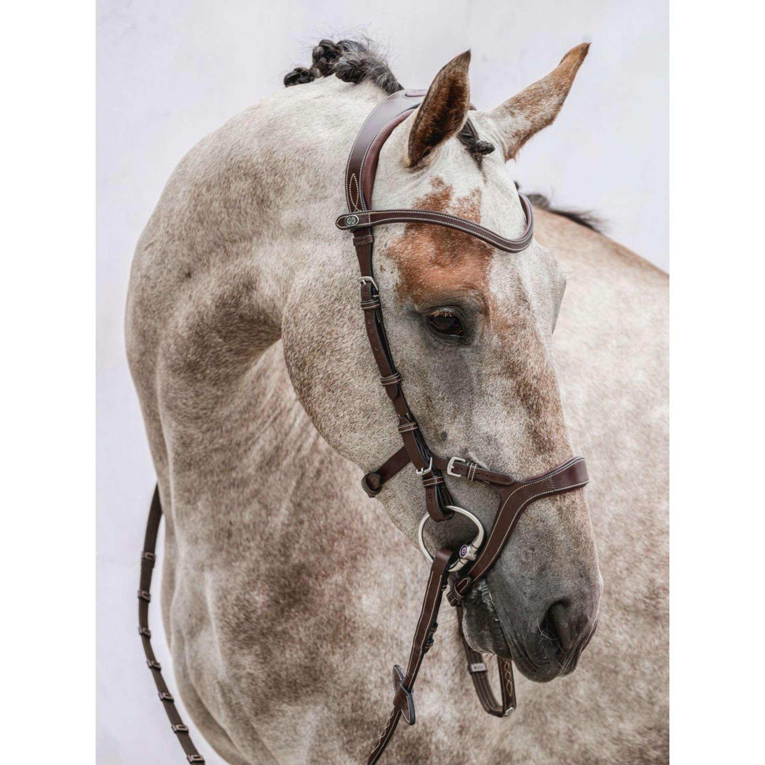 PS of Sweden Bridle Nirak Brown