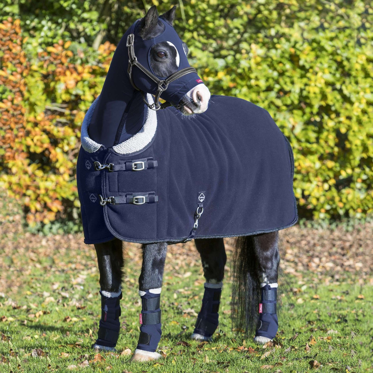 LeMieux Sweat Rug 4 Seasons Navy