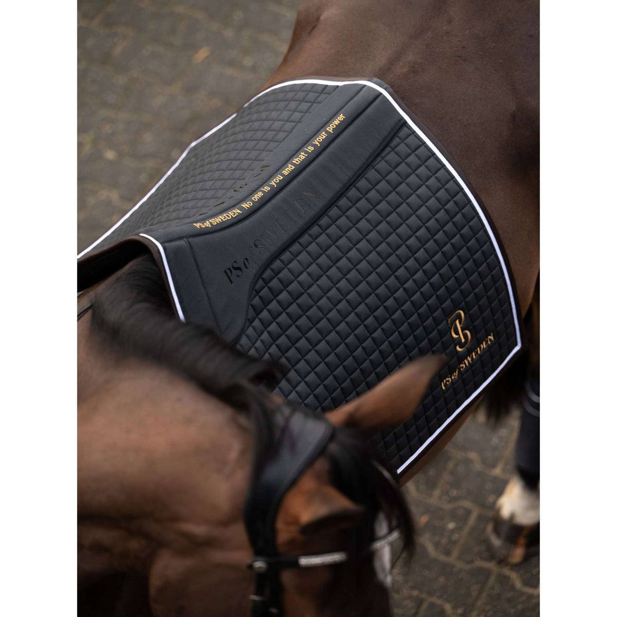 PS of Sweden Saddlepad Elite Edge Dressage DarkGrey